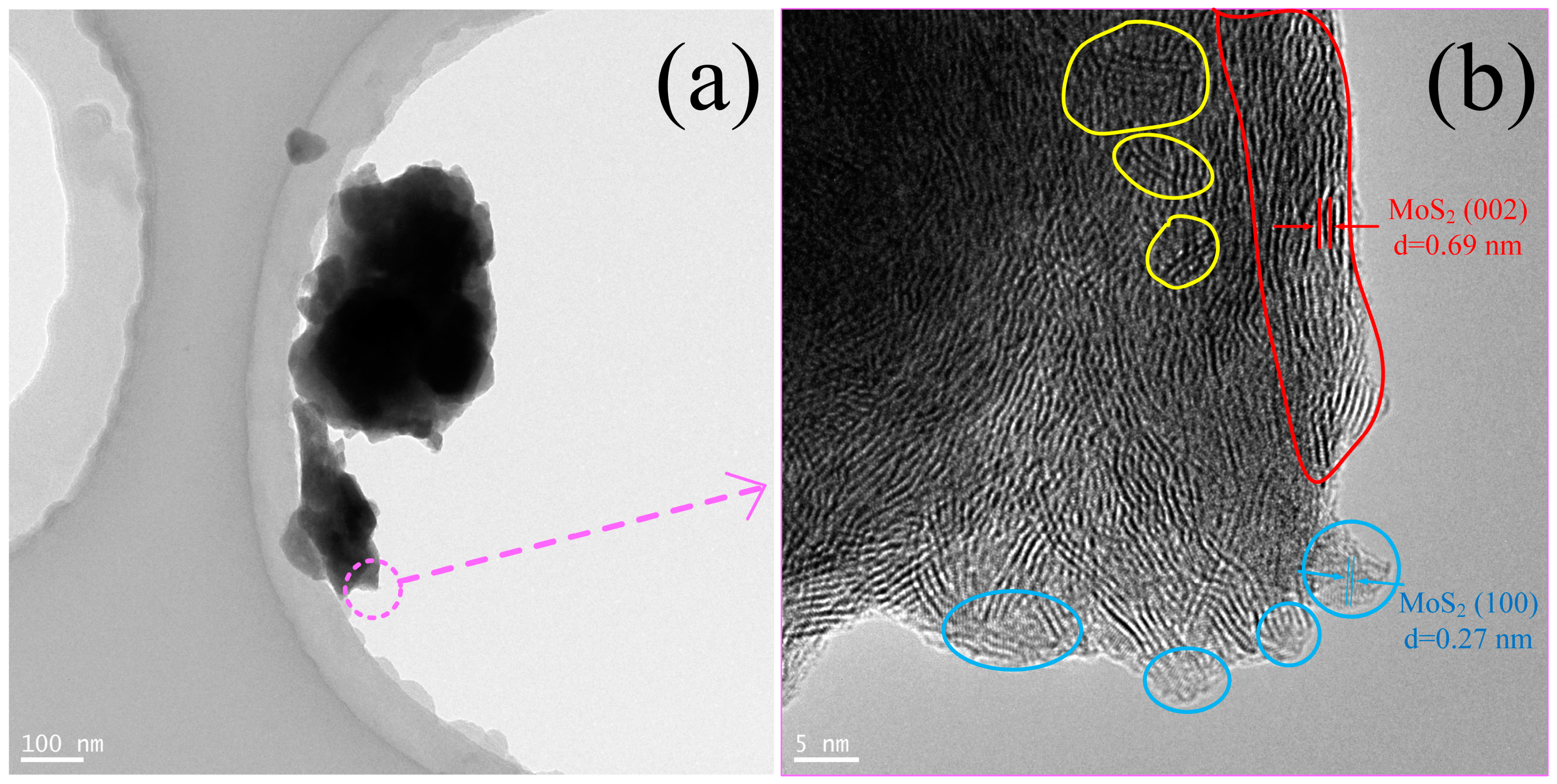 Lubricants 11 00432 g008