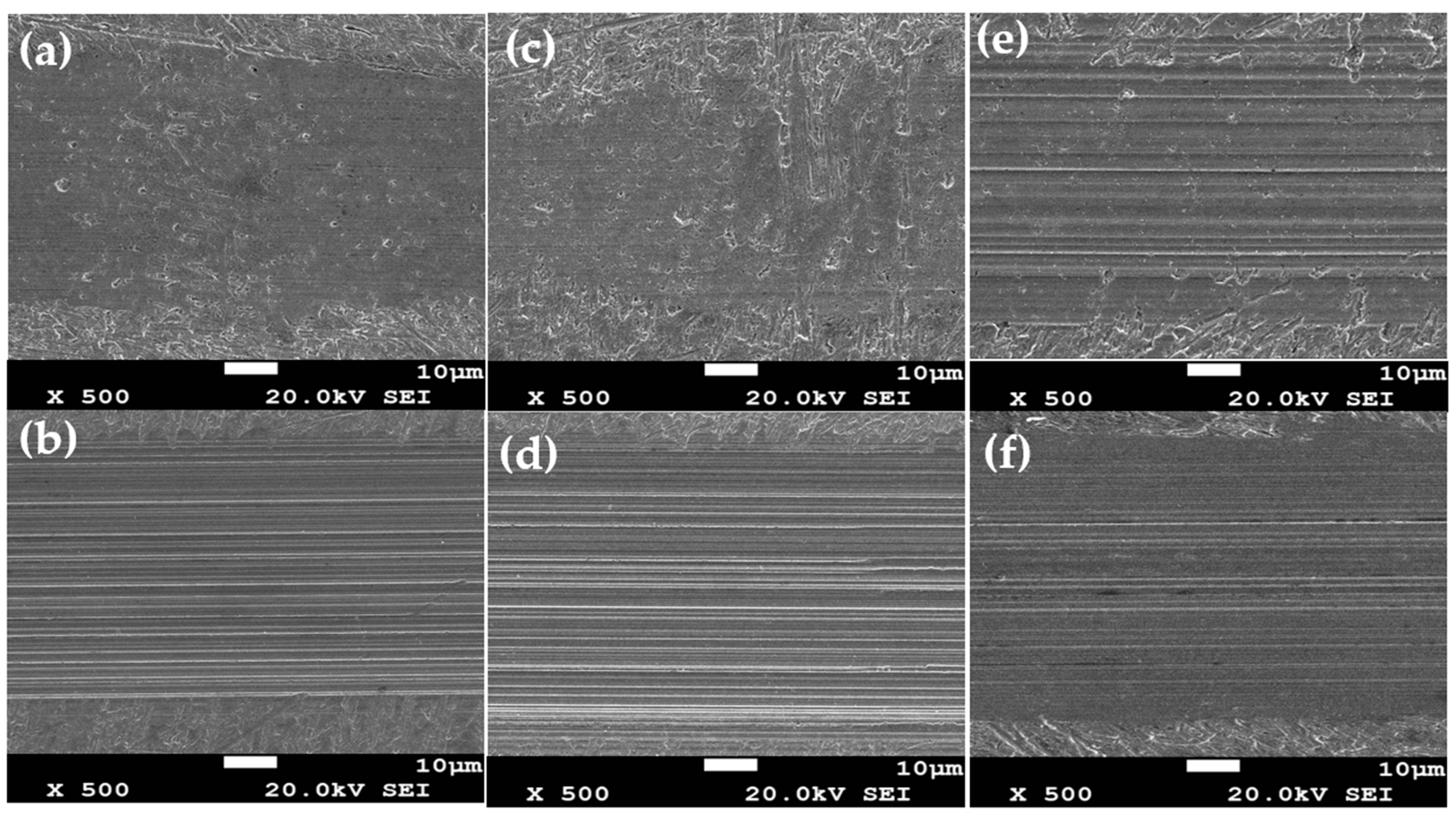 Lubricants 11 00469 g010