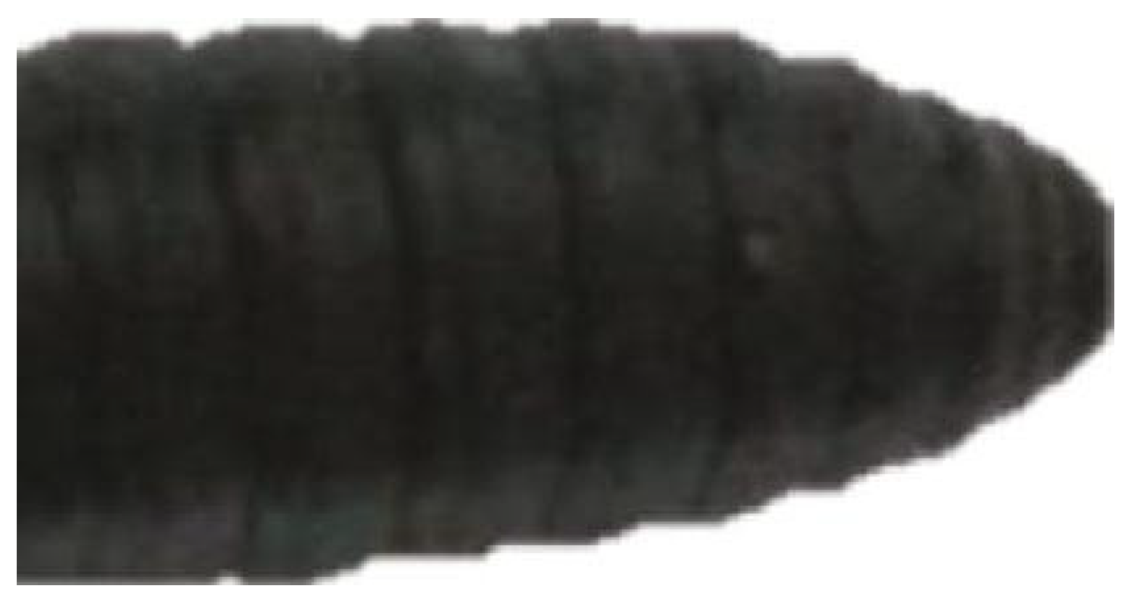 Lubricants 11 00484 g001