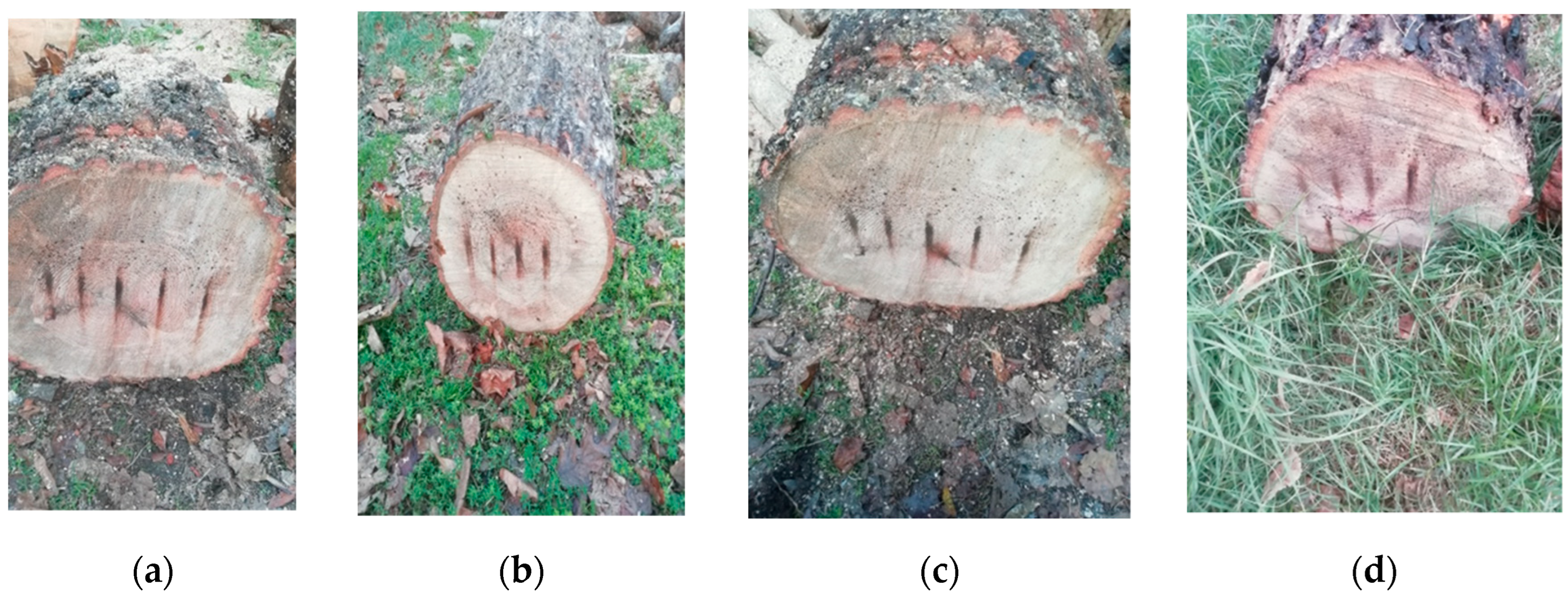 Lubricants 11 00494 g003