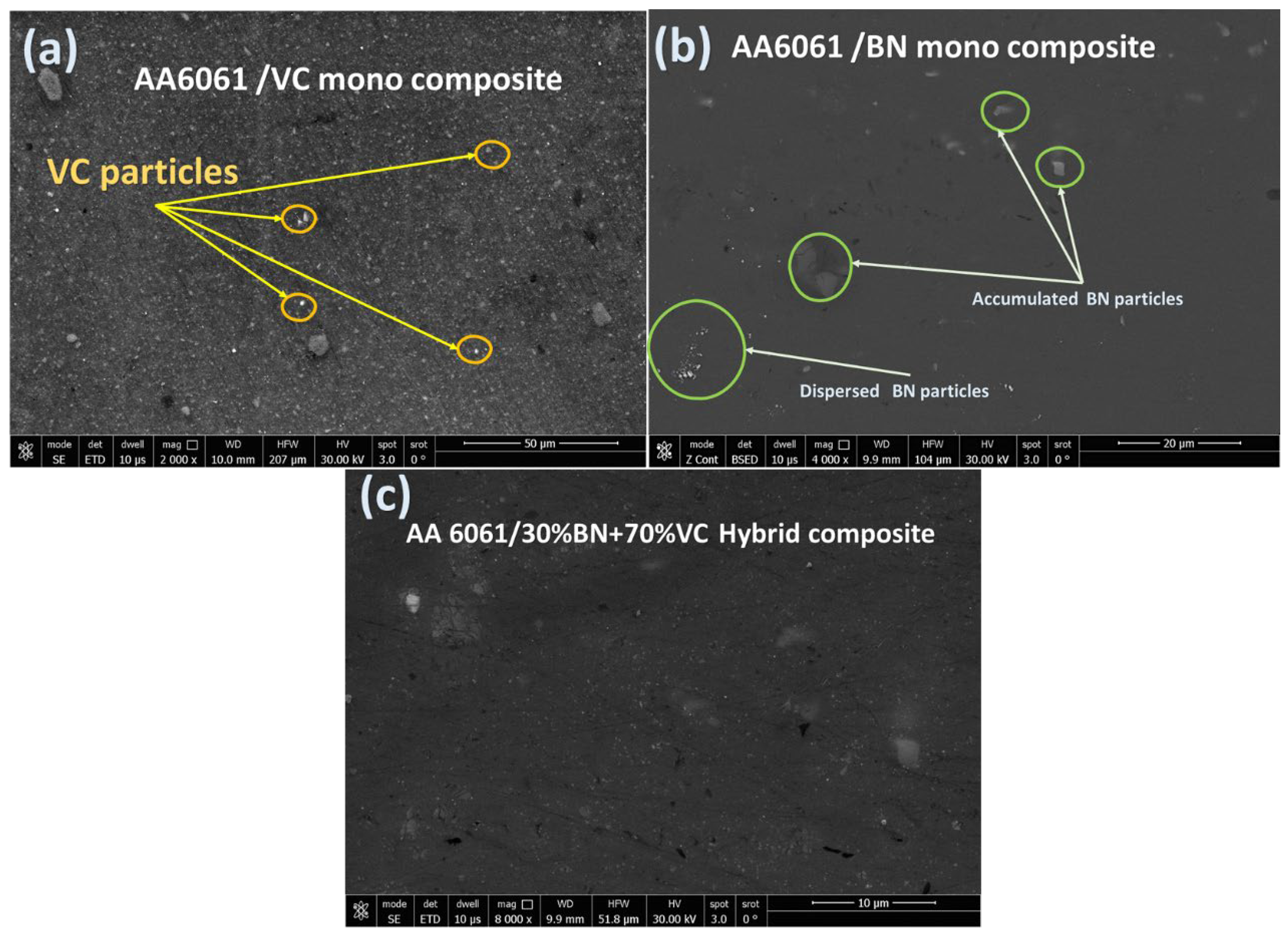 Lubricants 11 00507 g006
