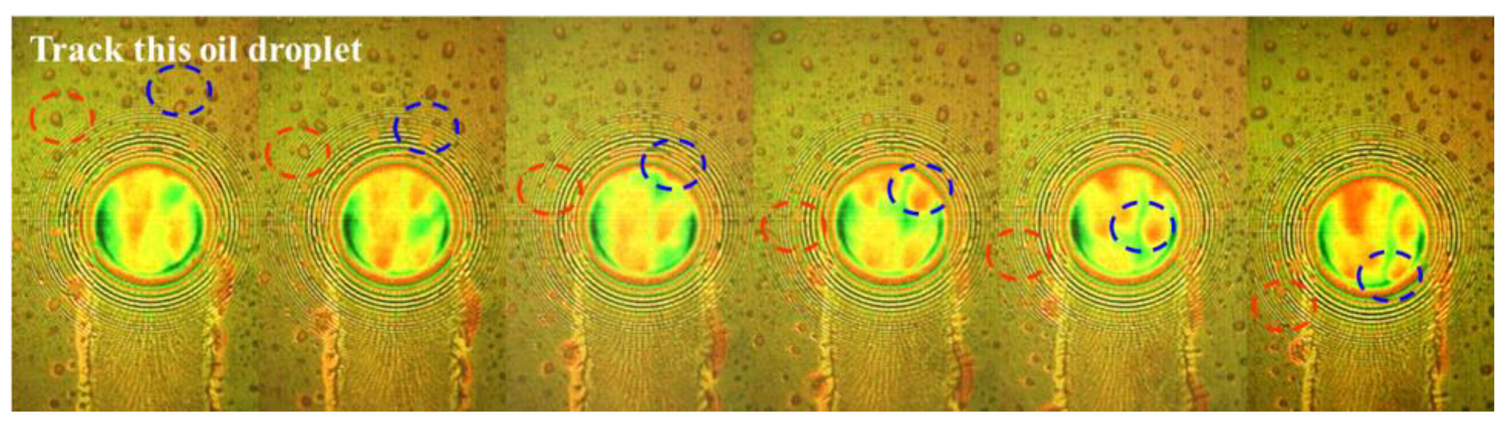 Lubricants 11 00512 g002