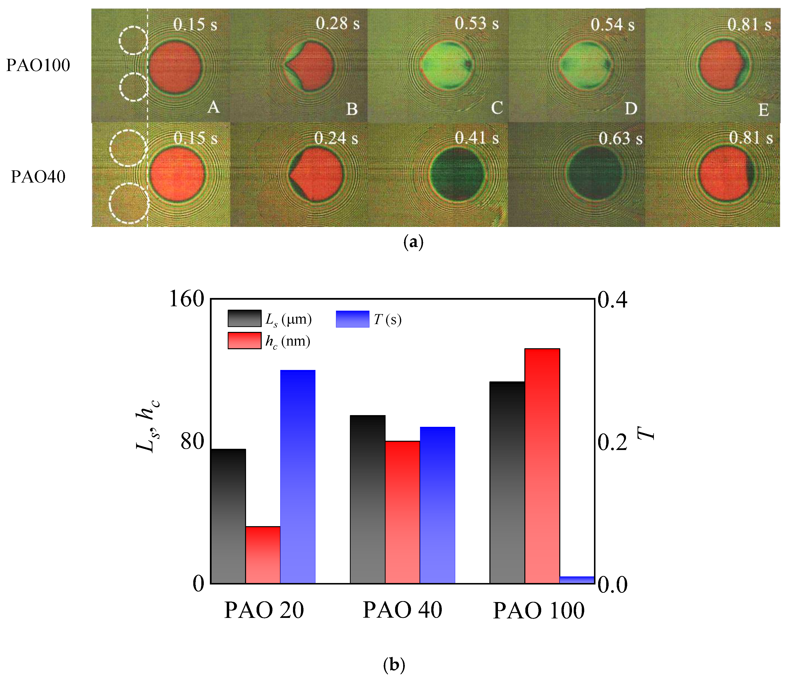 Lubricants 11 00512 g006