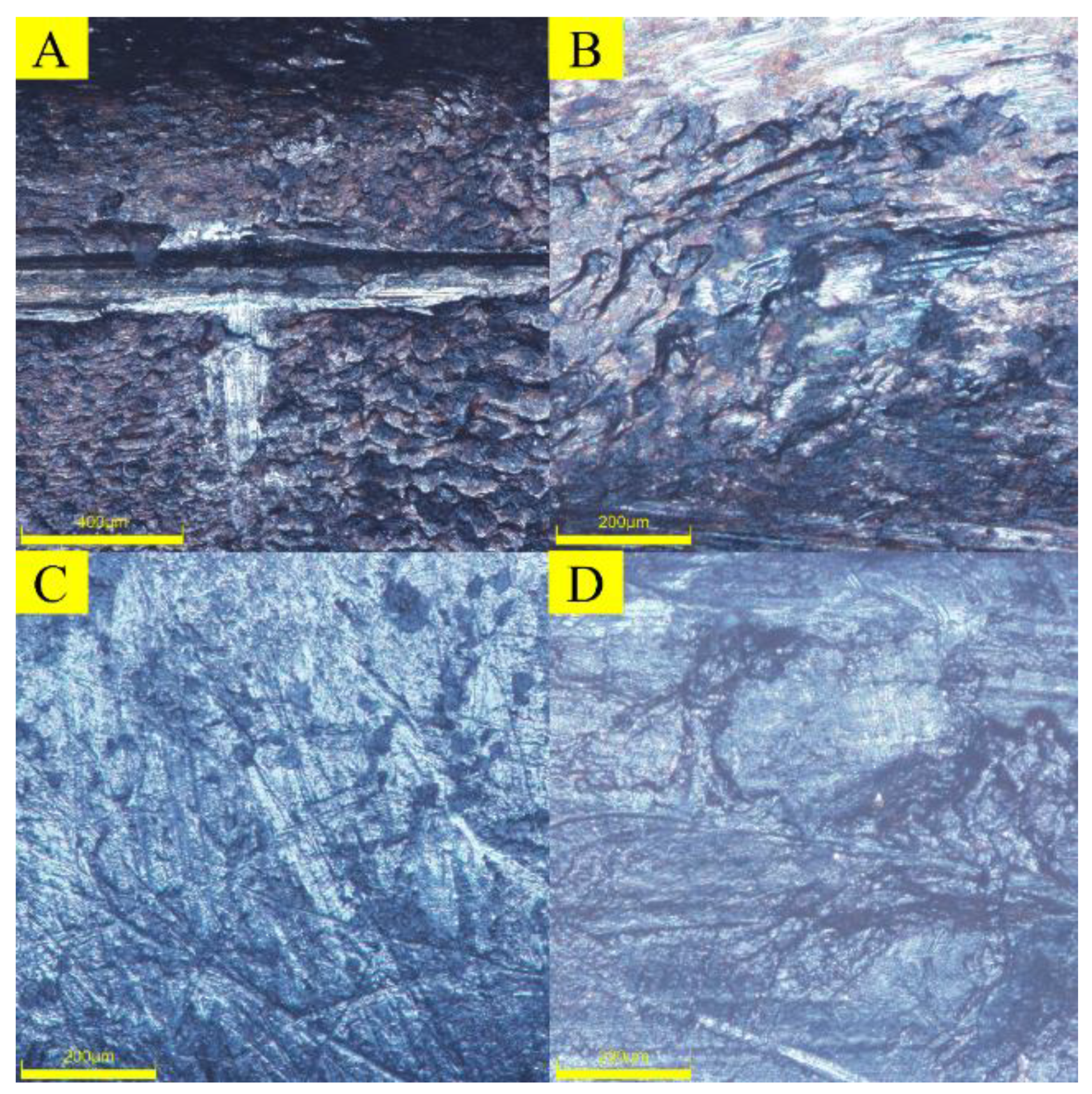 Lubricants 11 00515 g025