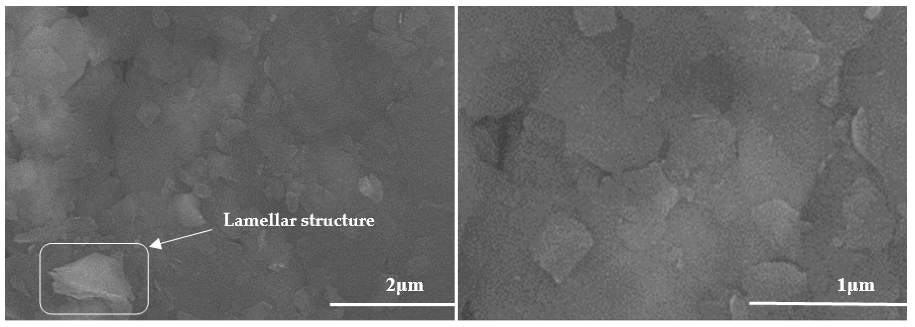 Lubricants 11 00517 g001