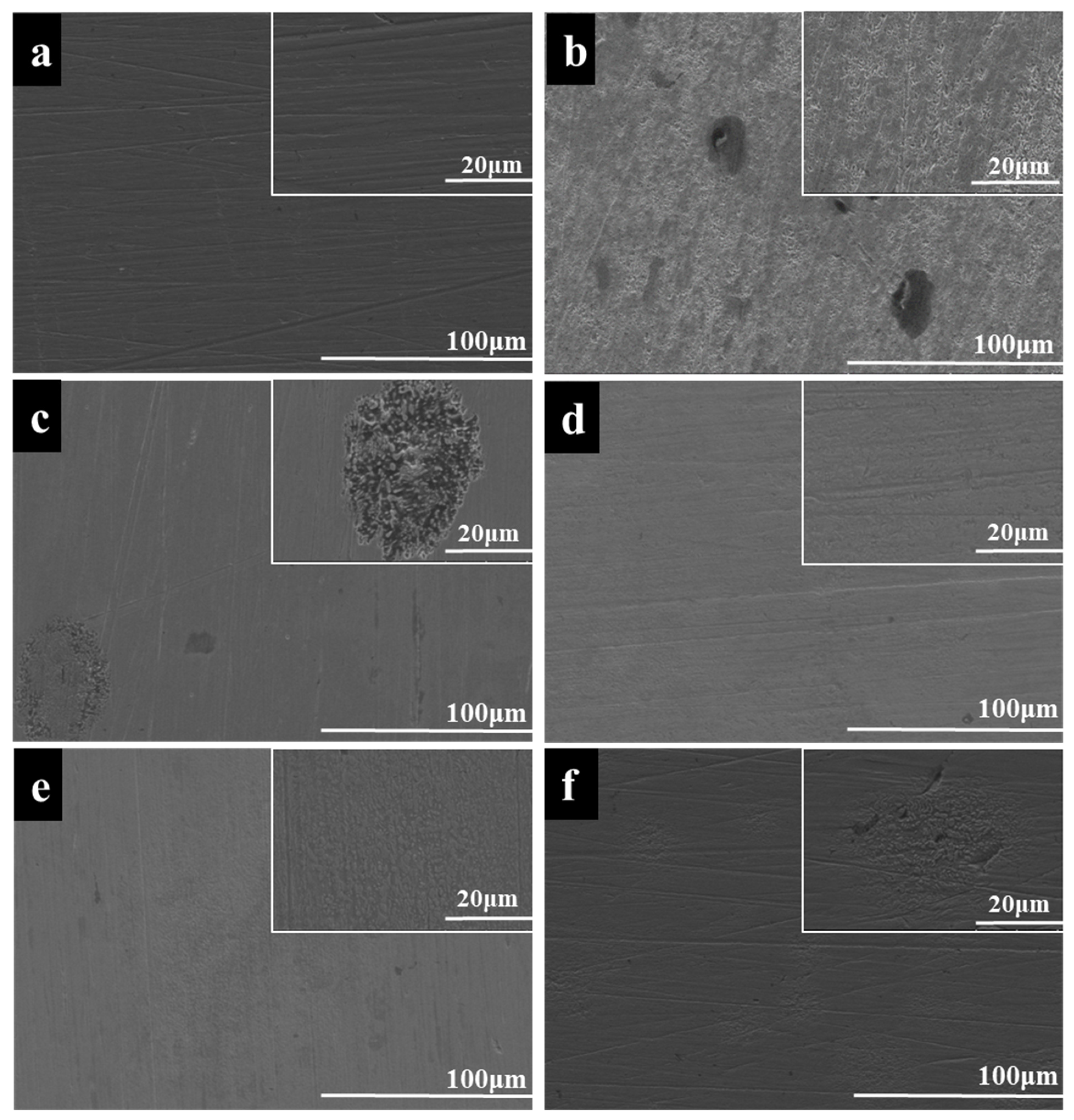 Lubricants 11 00517 g008