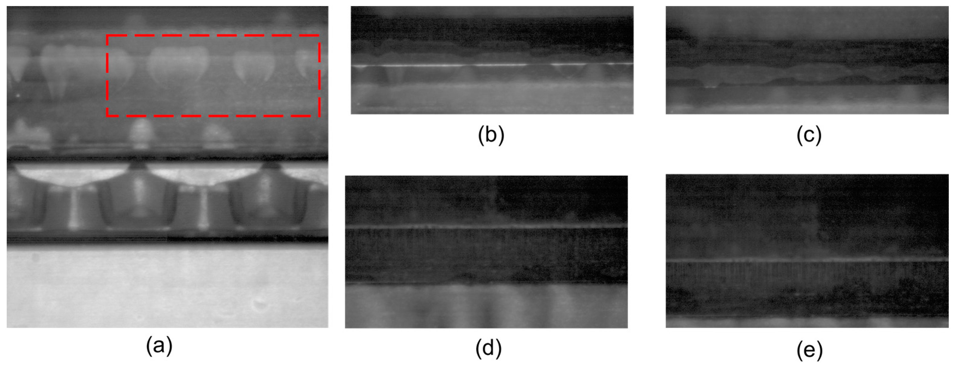 Lubricants 11 00522 g005