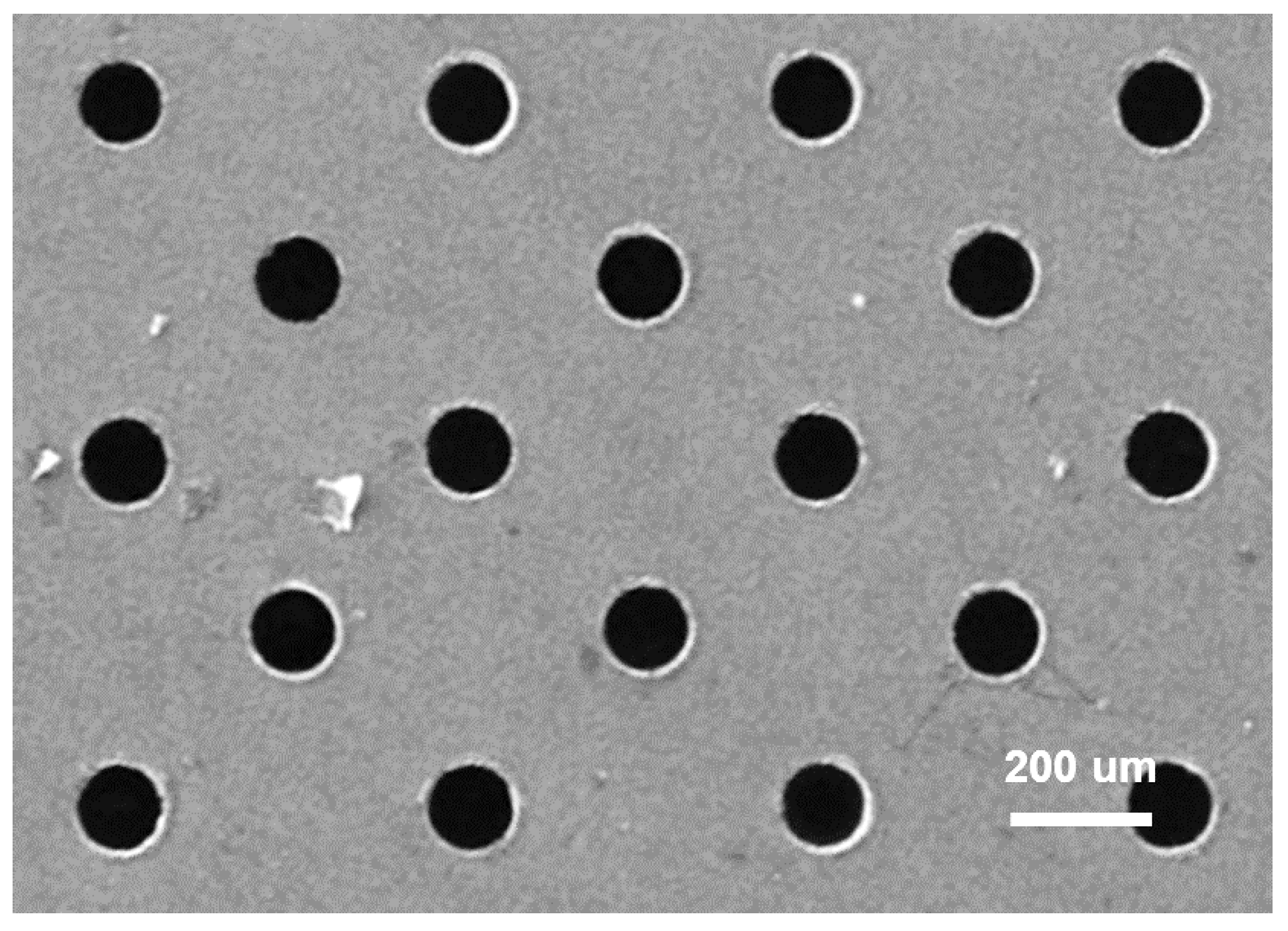 Lubricants 11 00533 g002
