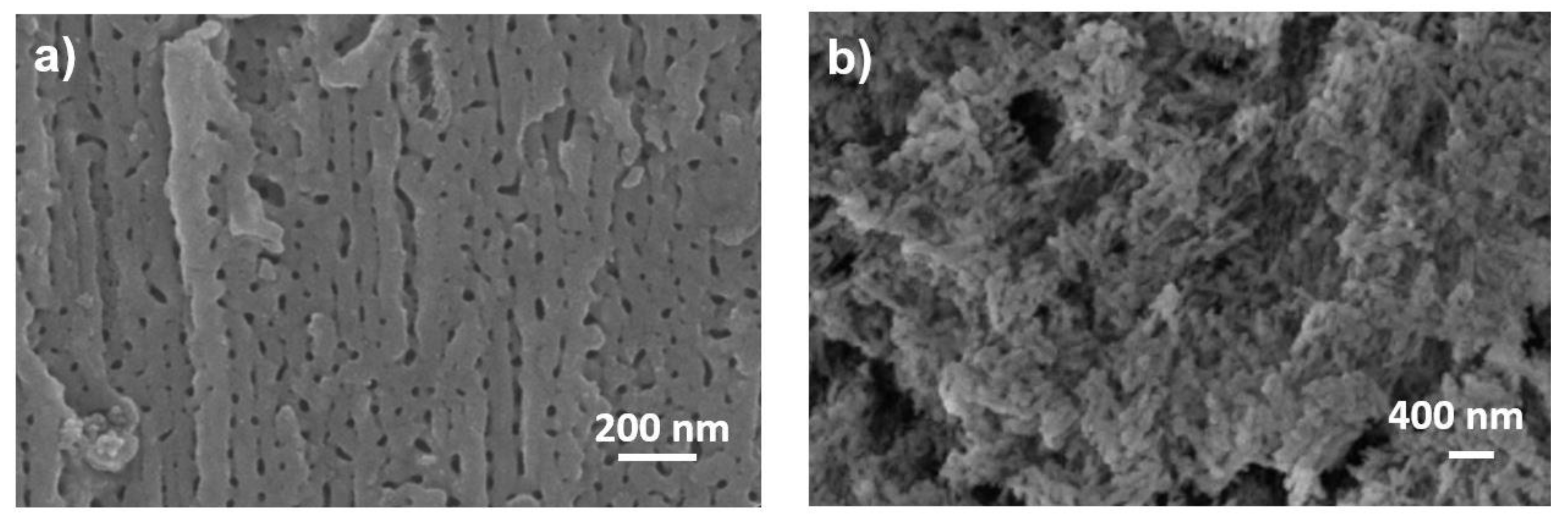 Lubricants 11 00533 g003