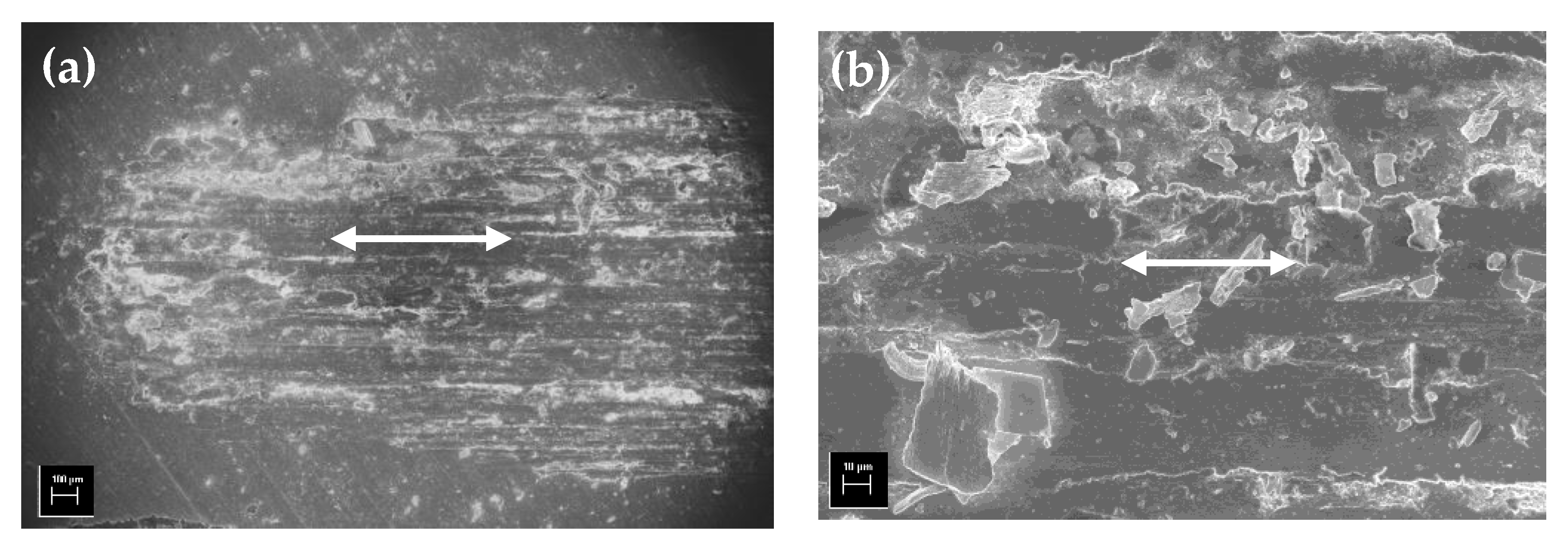 Lubricants 11 00533 g006
