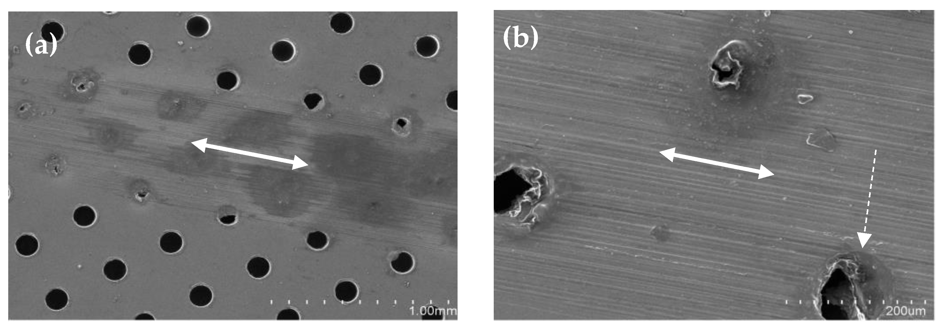 Lubricants 11 00533 g008a