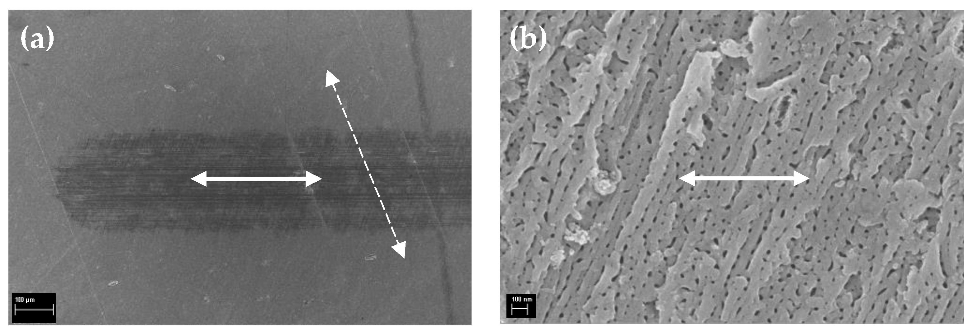 Lubricants 11 00533 g010