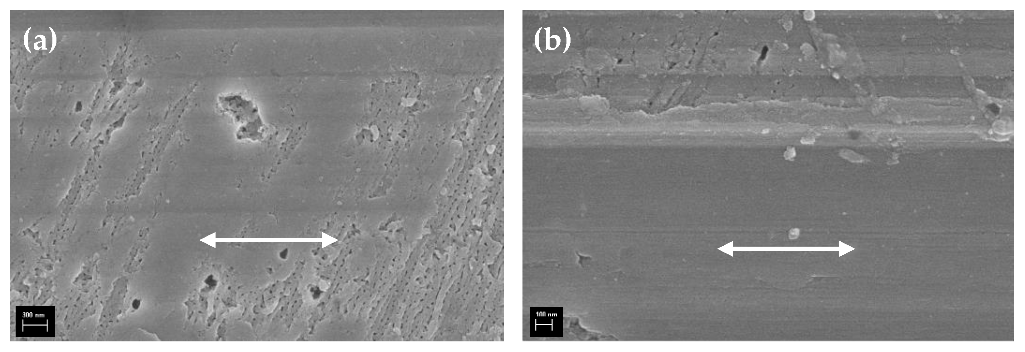 Lubricants 11 00533 g011