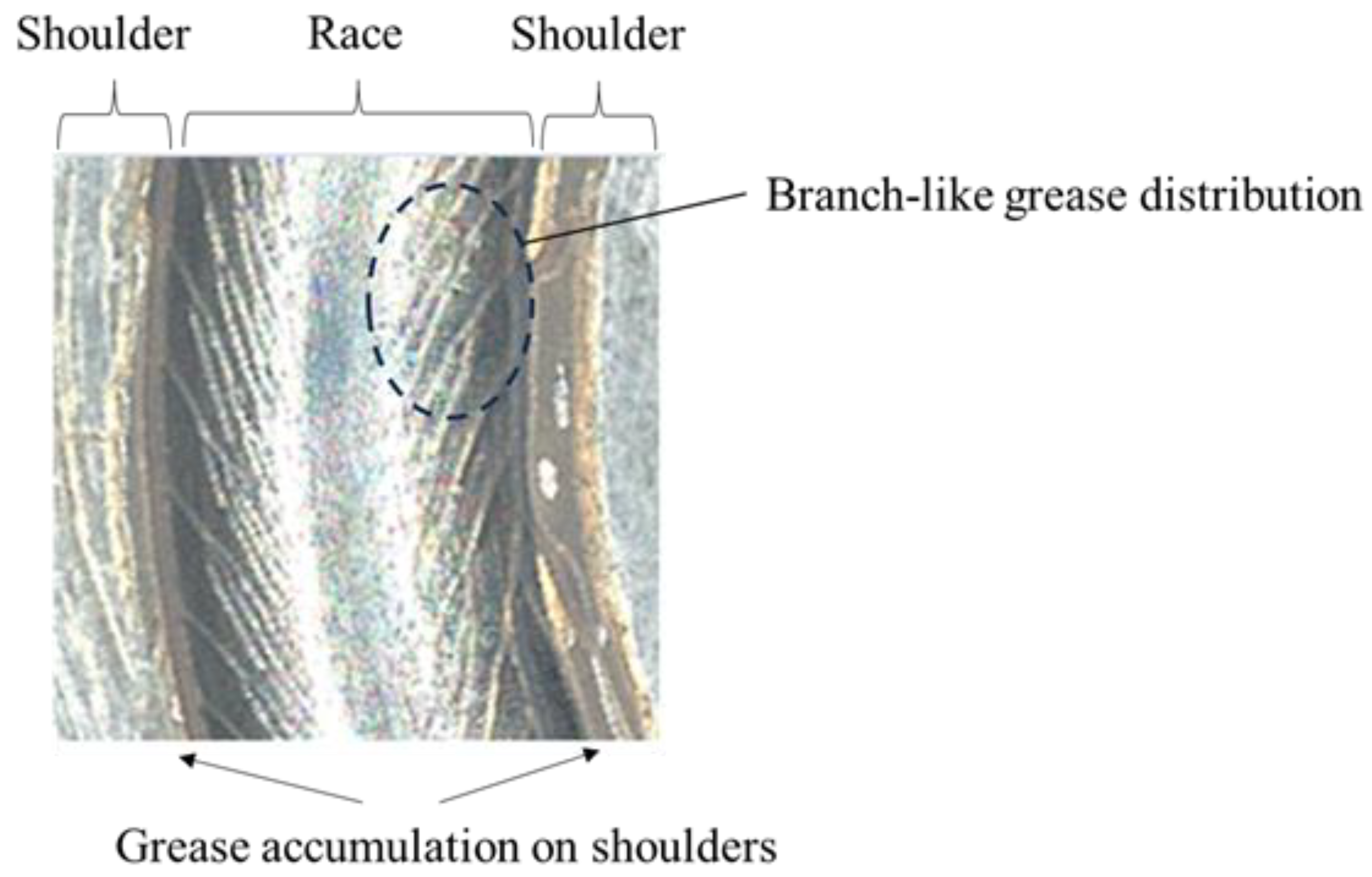 Lubricants 12 00013 g002