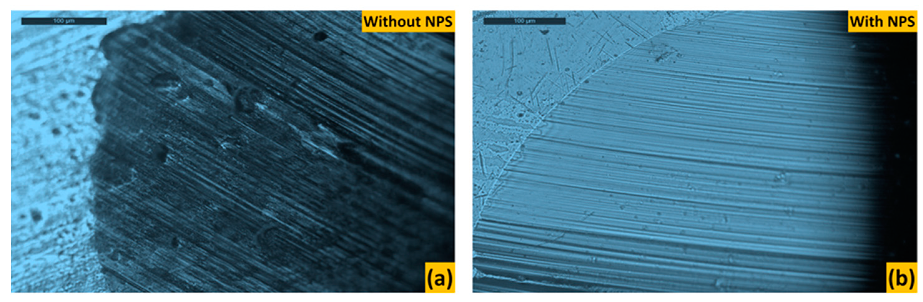 Lubricants 12 00027 g012