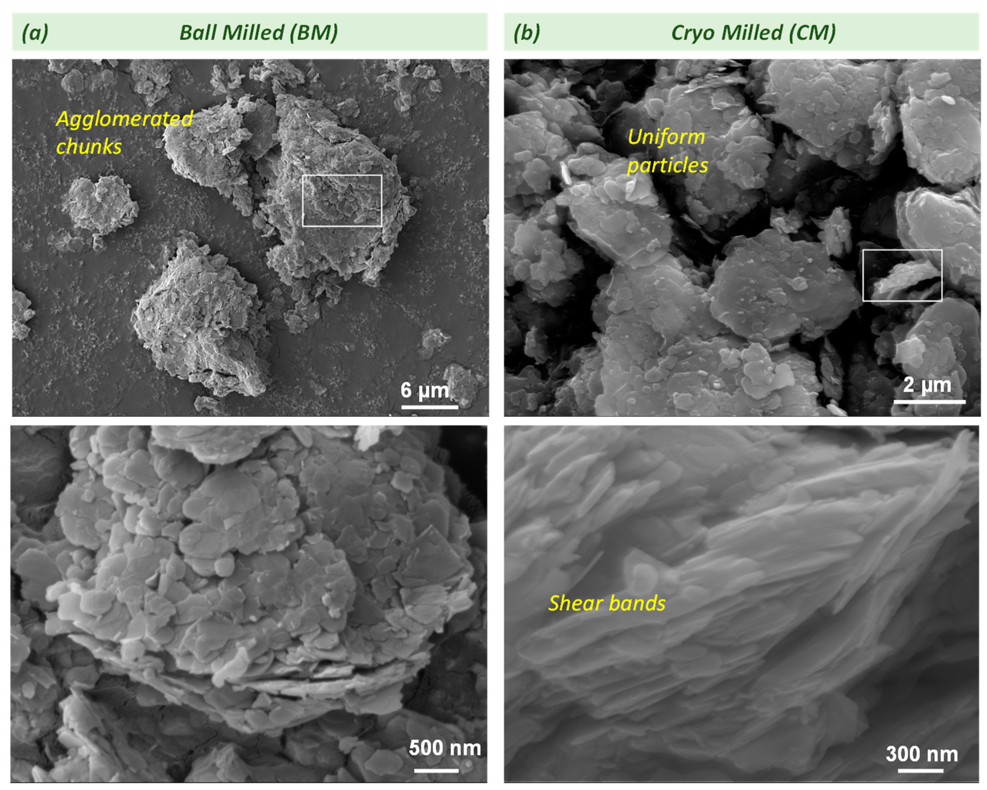 Lubricants 12 00031 g008