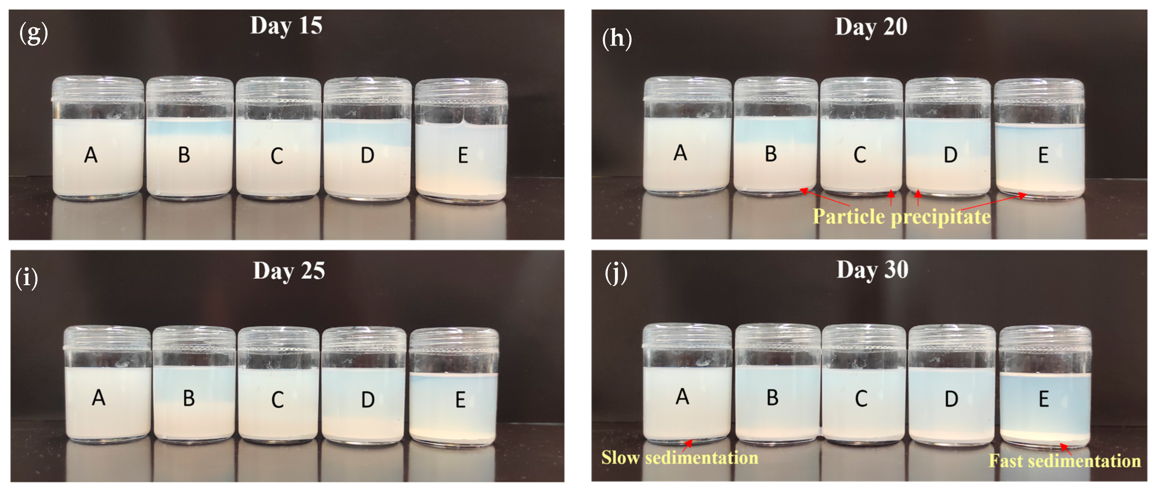 Lubricants 12 00123 g005b