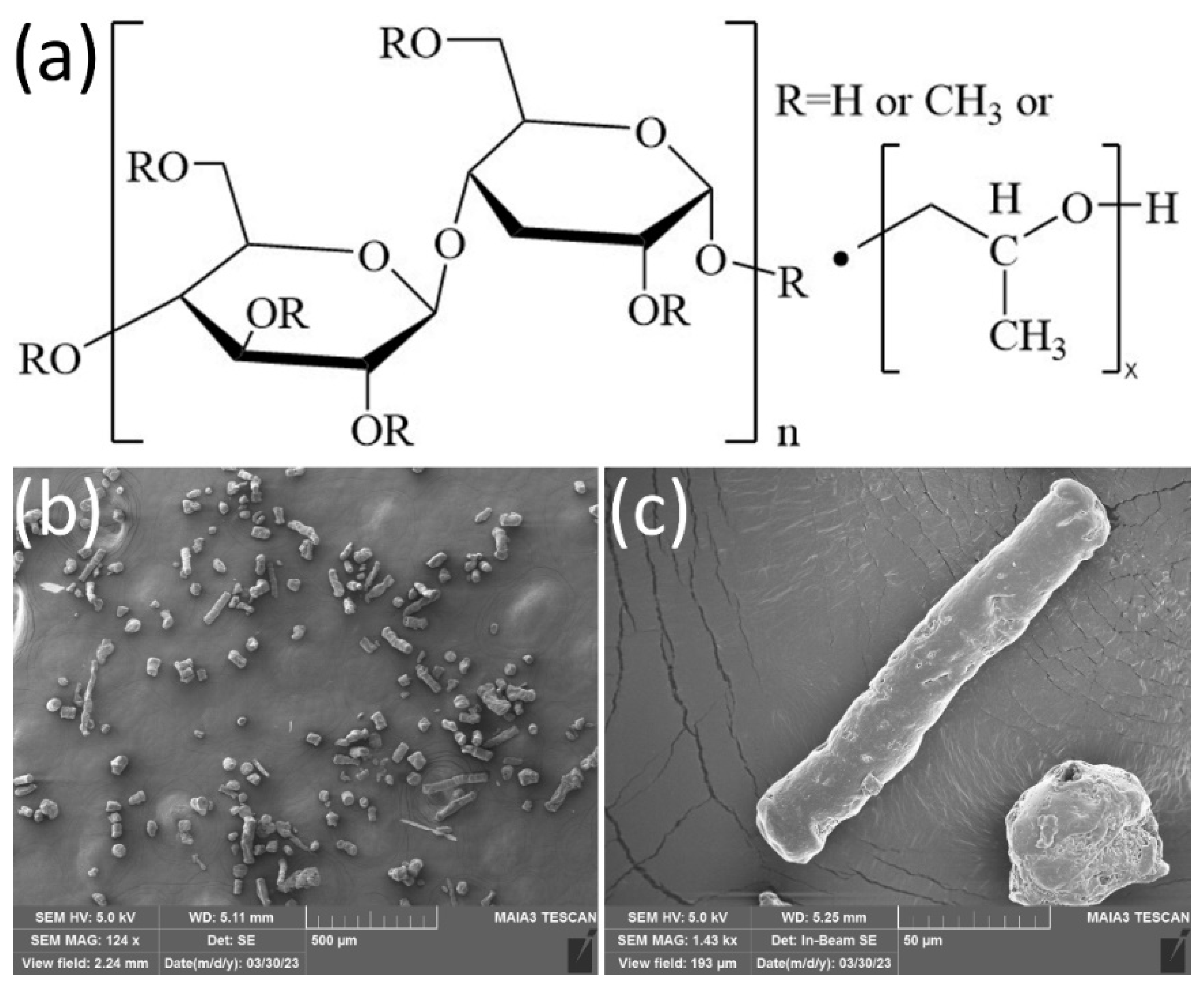 Lubricants 12 00129 g001