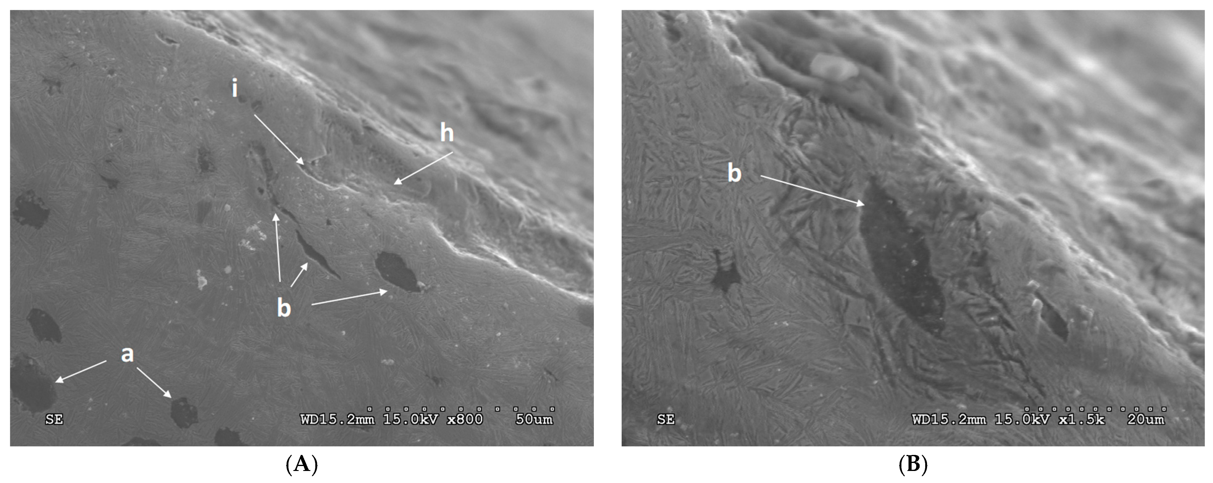 Lubricants 12 00131 g010