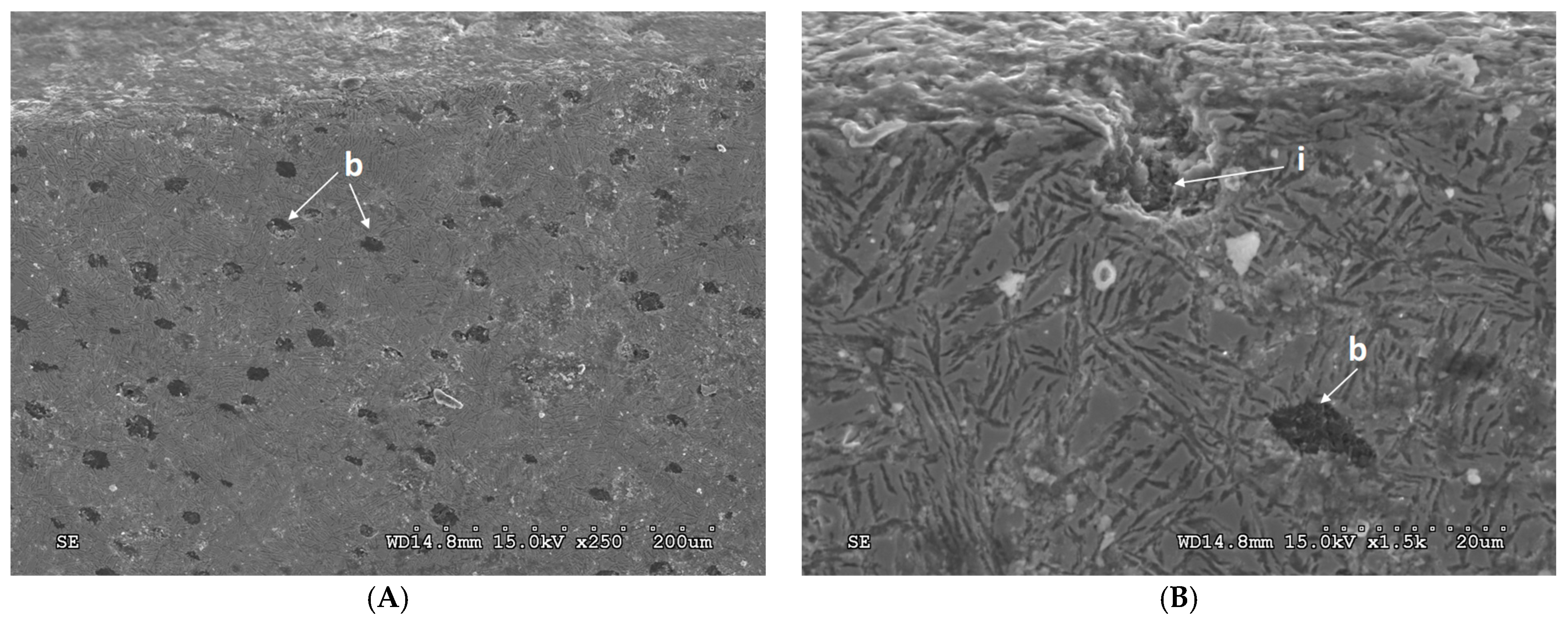 Lubricants 12 00131 g012