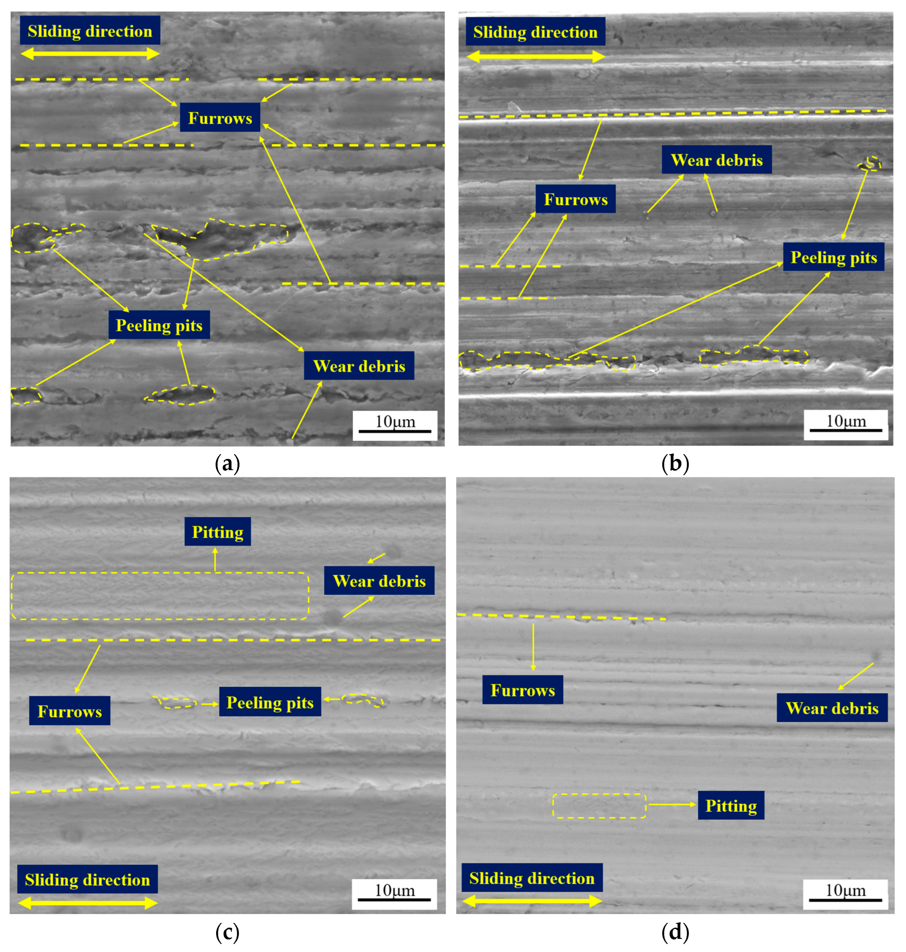 Lubricants 12 00165 g008