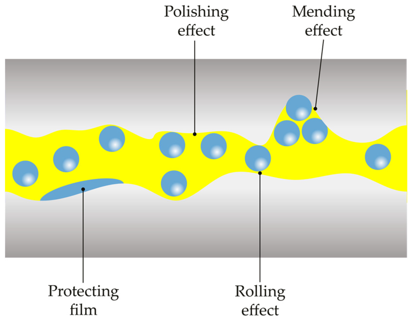 Lubricants 12 00166 g007
