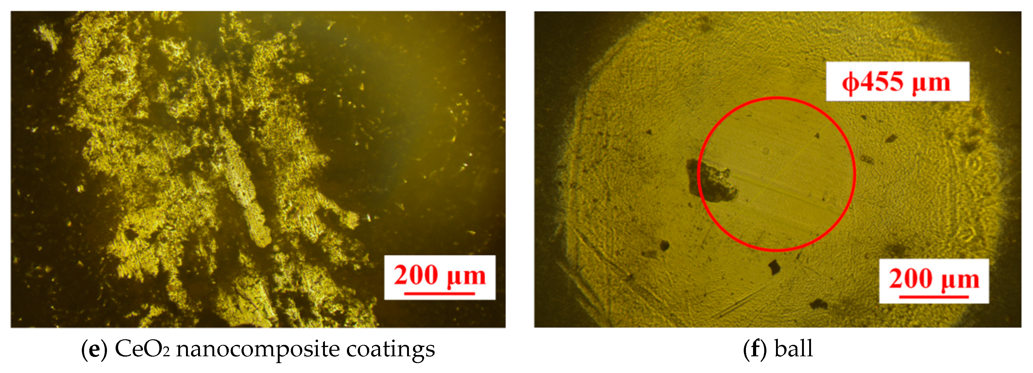 Lubricants 12 00223 g008b