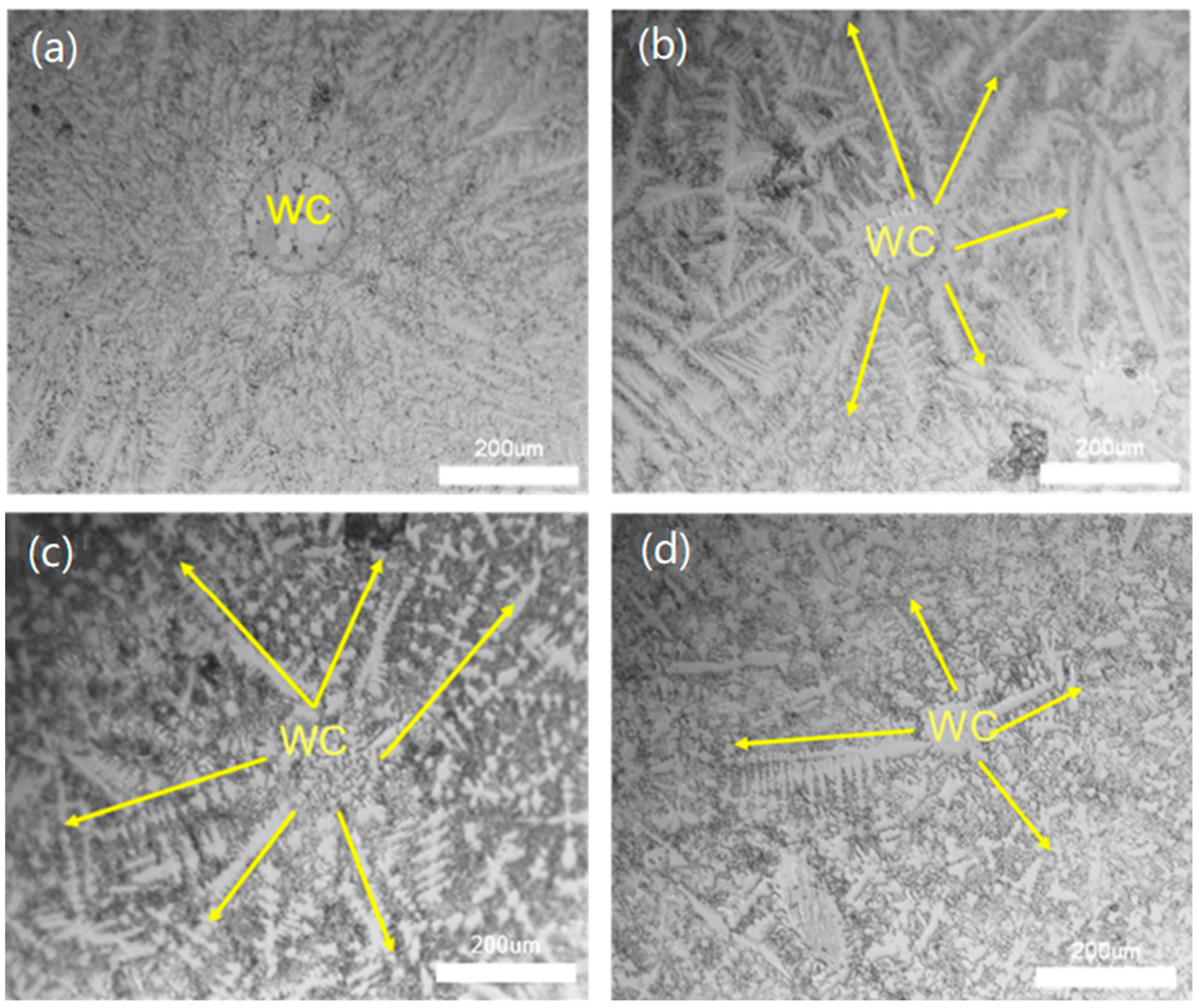 Lubricants 12 00227 g006