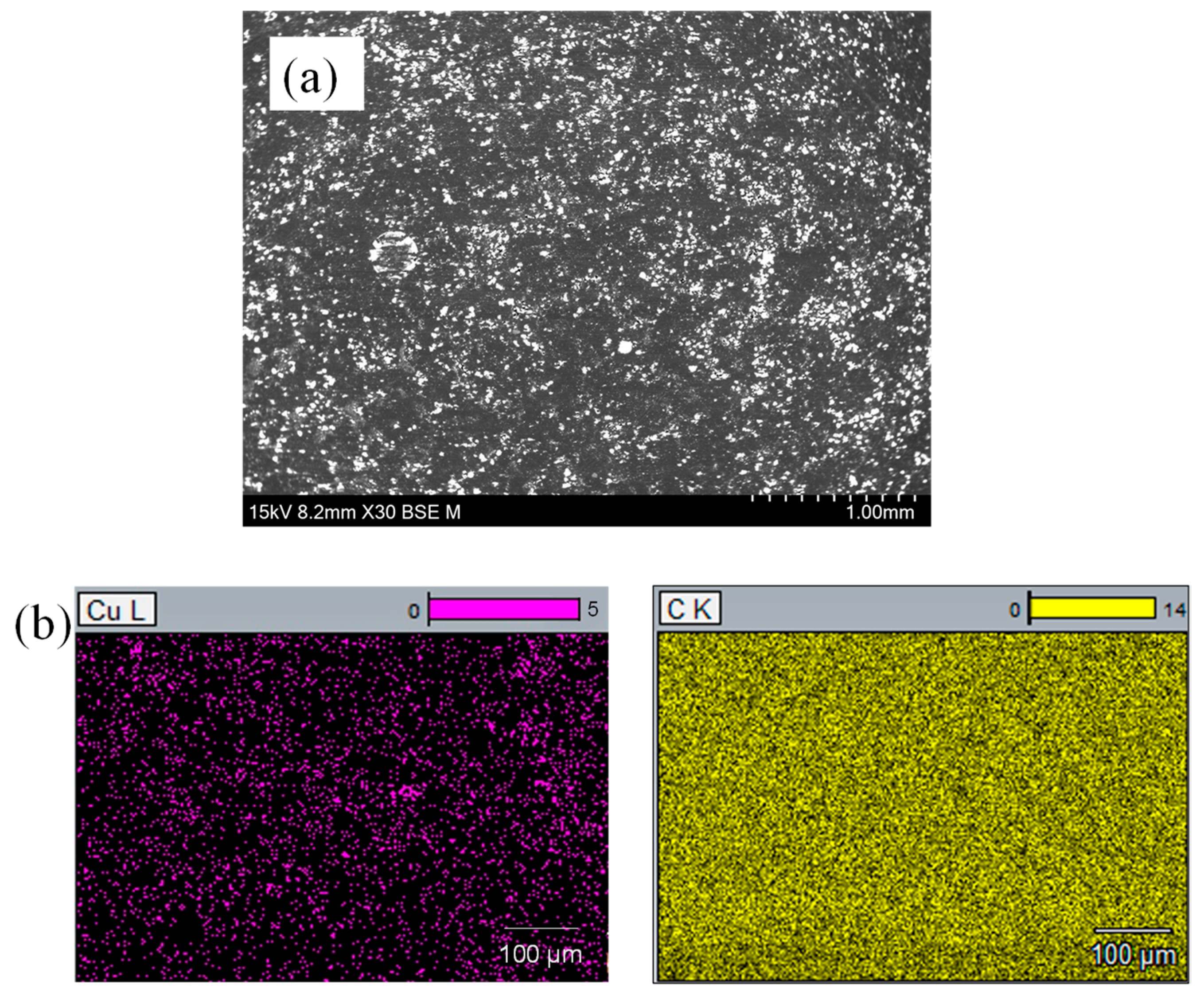 Lubricants 12 00231 g003