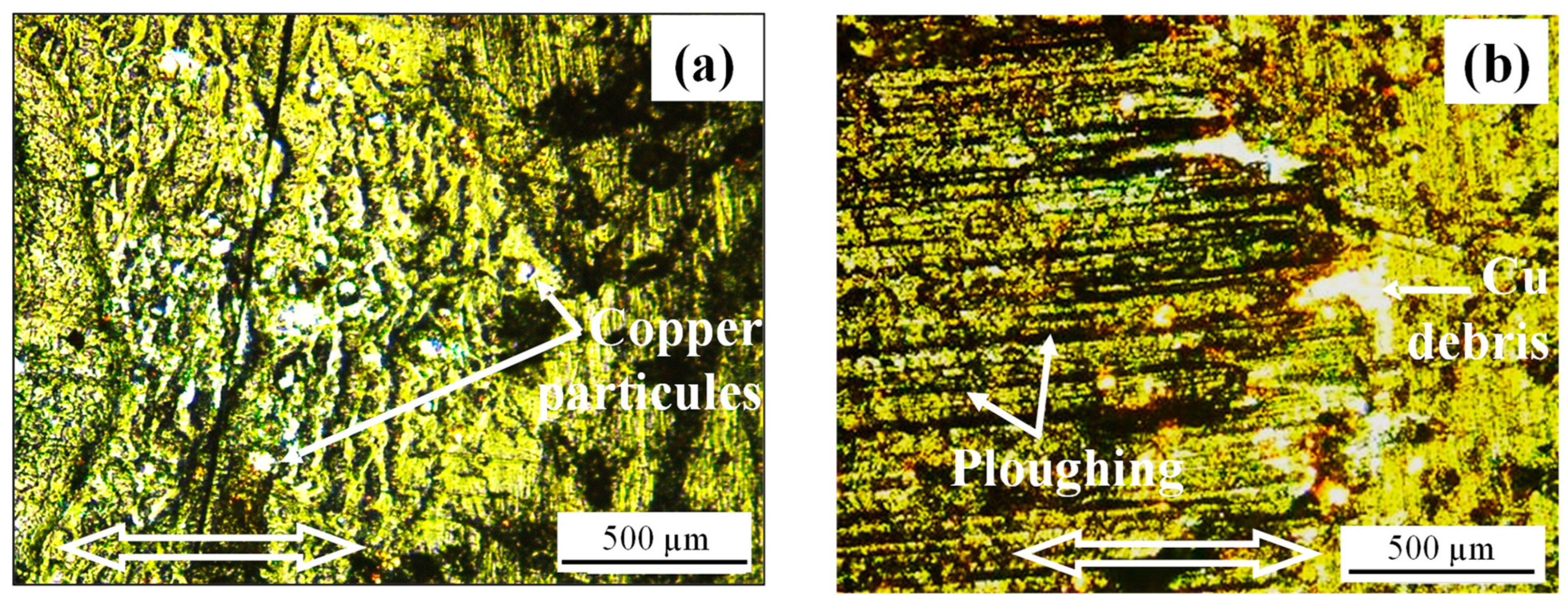 Lubricants 12 00231 g013
