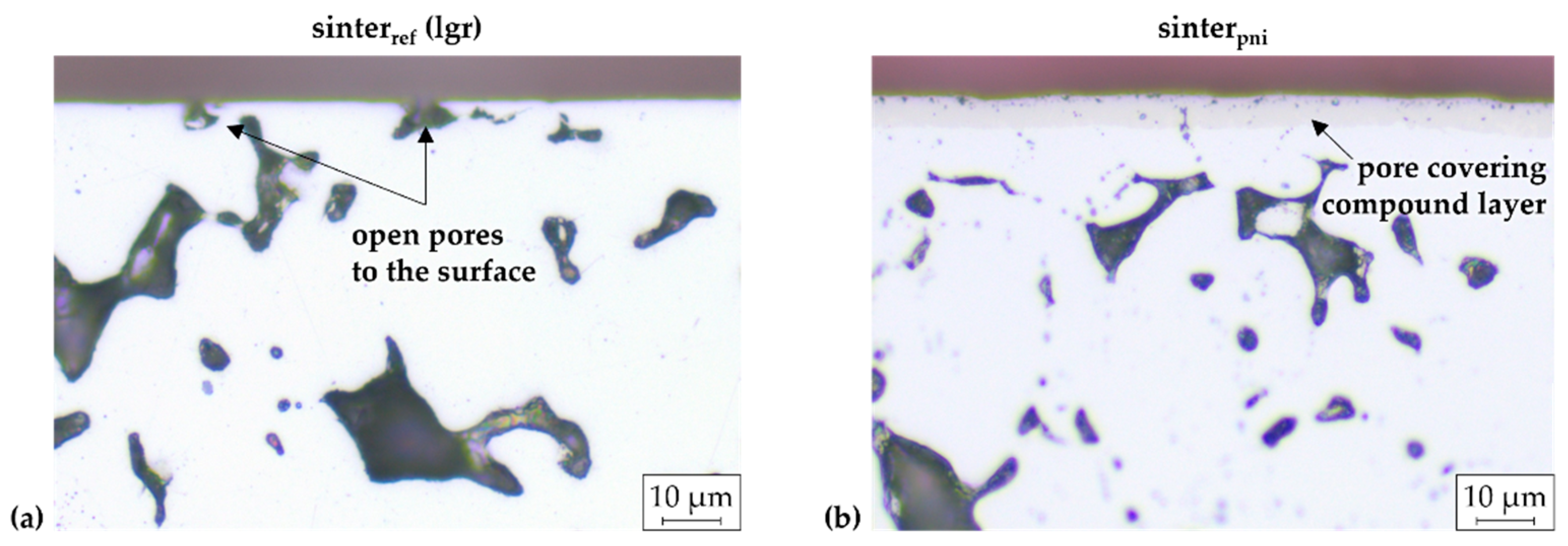 Lubricants 12 00259 g021