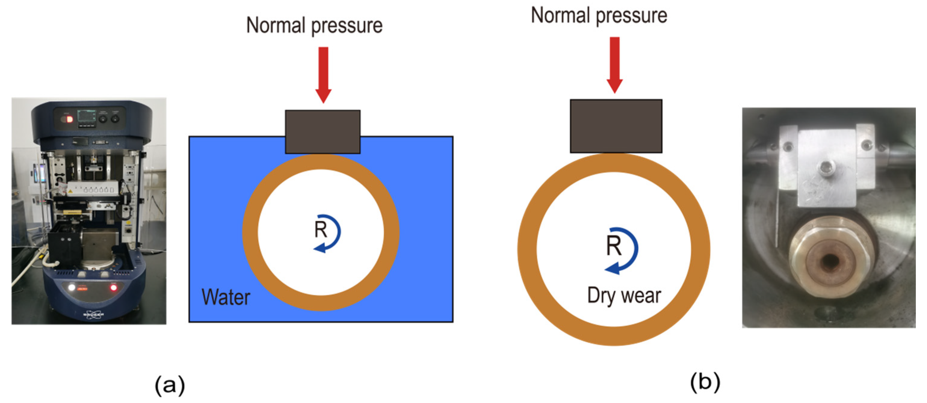 Lubricants 12 00261 g005