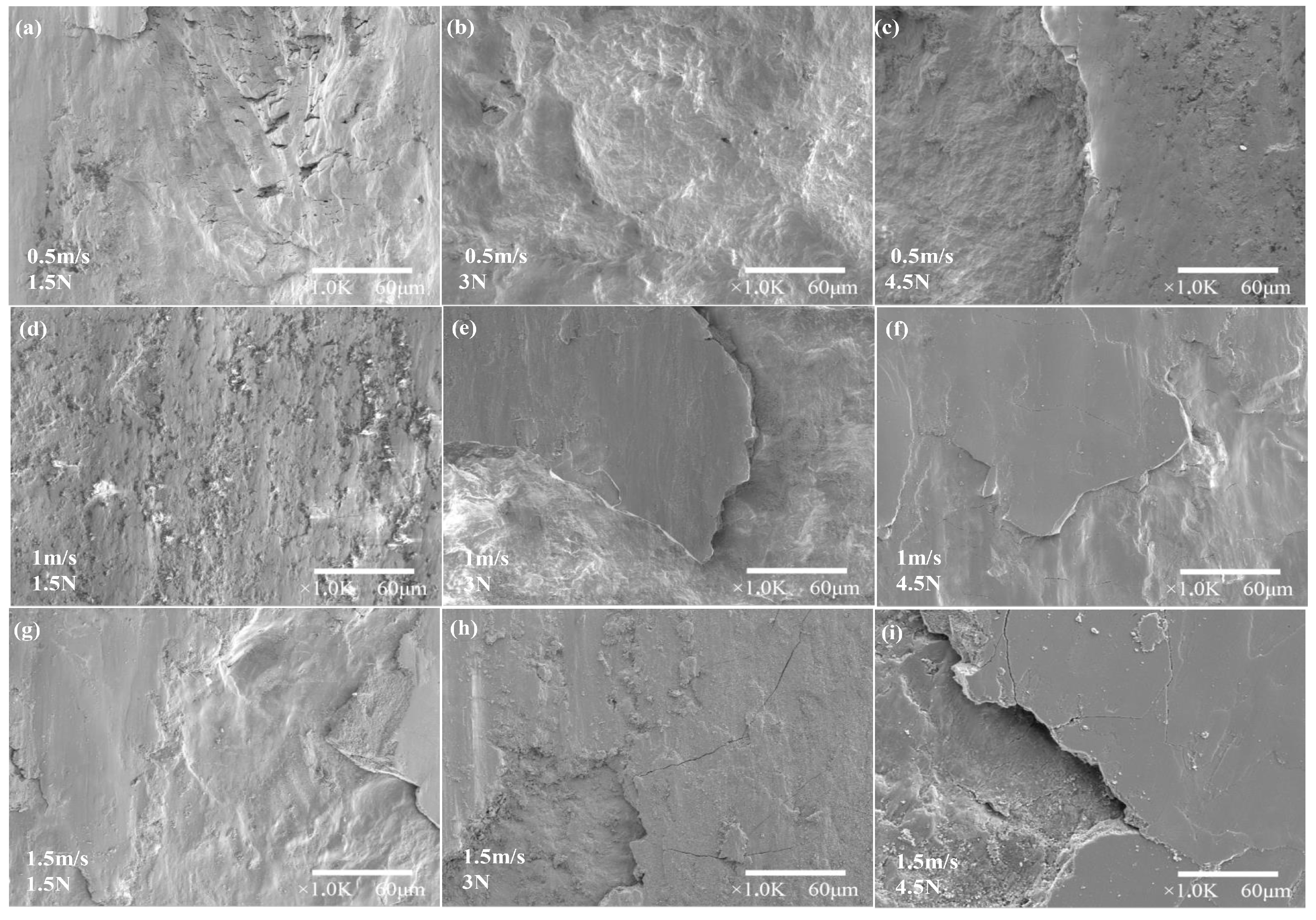 Lubricants 12 00265 g004