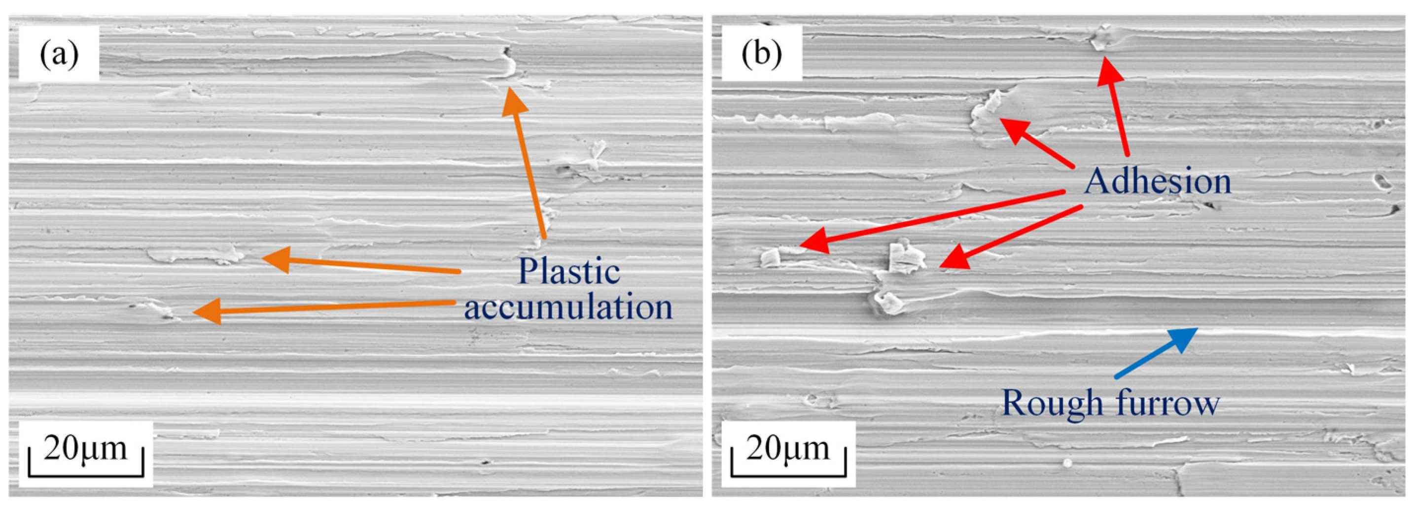 Lubricants 12 00266 g013