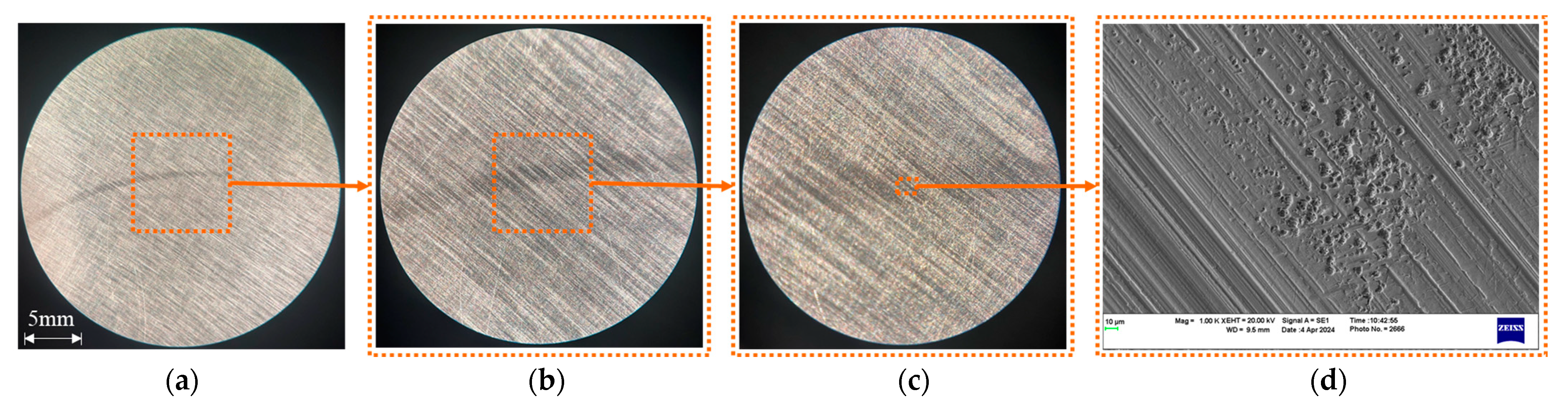 Lubricants 12 00268 g003