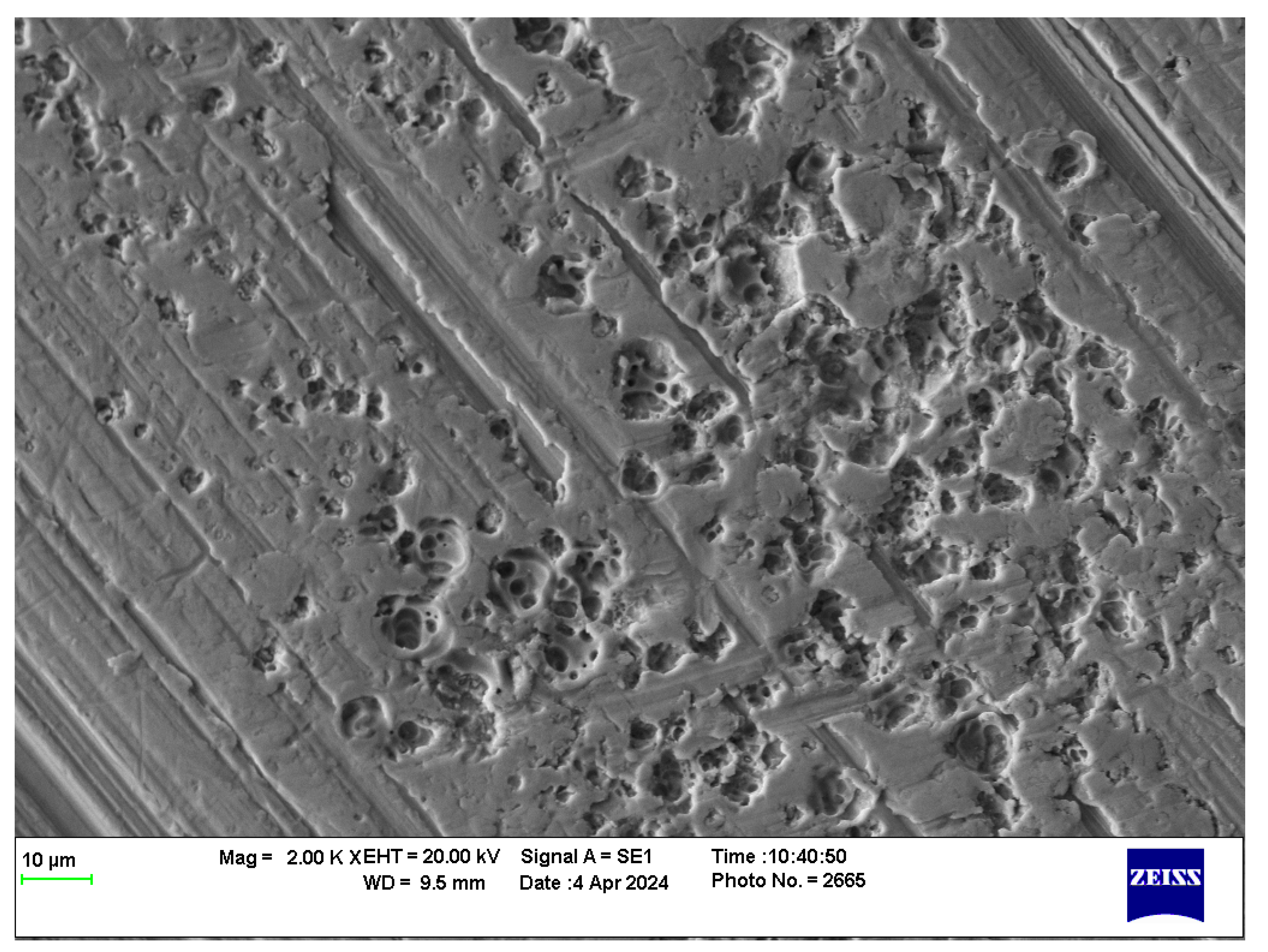 Lubricants 12 00268 g010