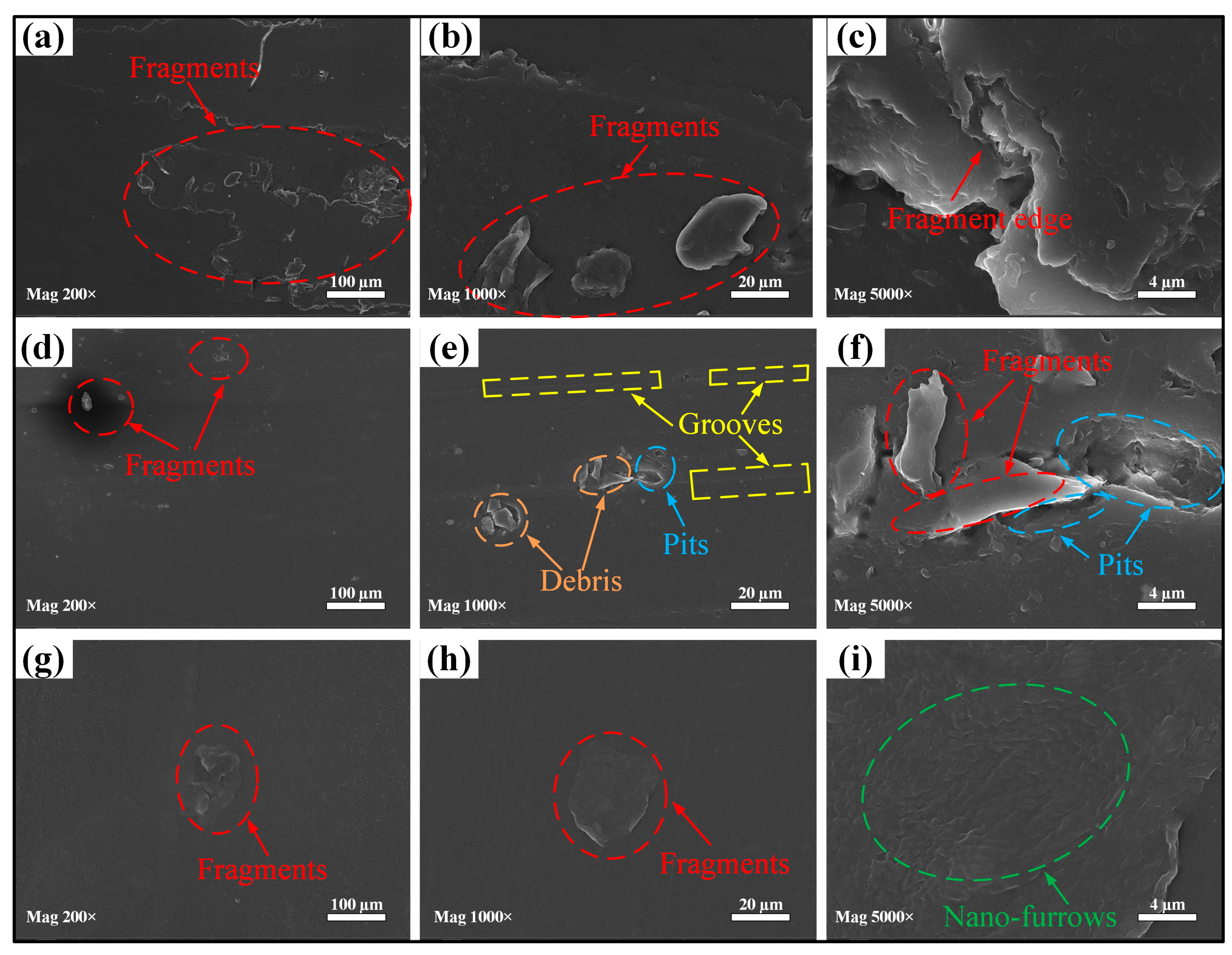 Lubricants 12 00269 g008