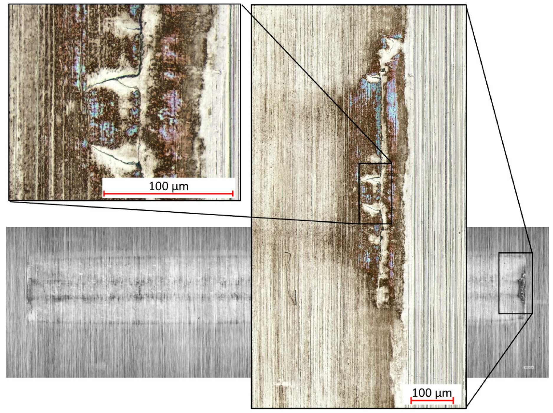 Lubricants 12 00271 g006