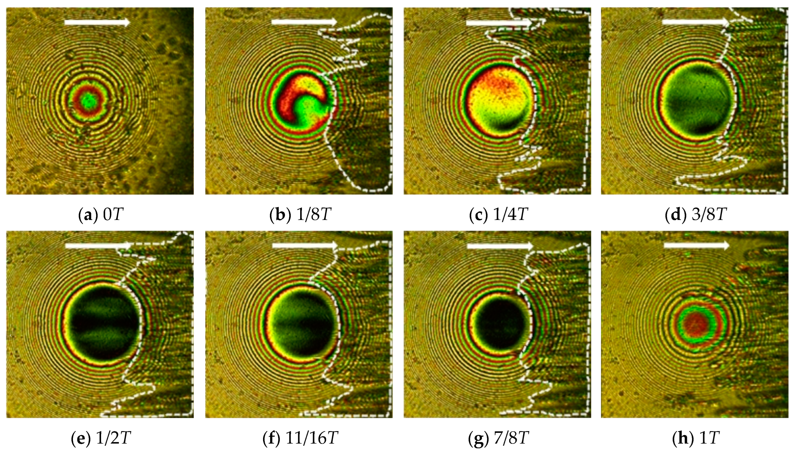 Lubricants 12 00279 g018 Lubricants 12 00279 g018