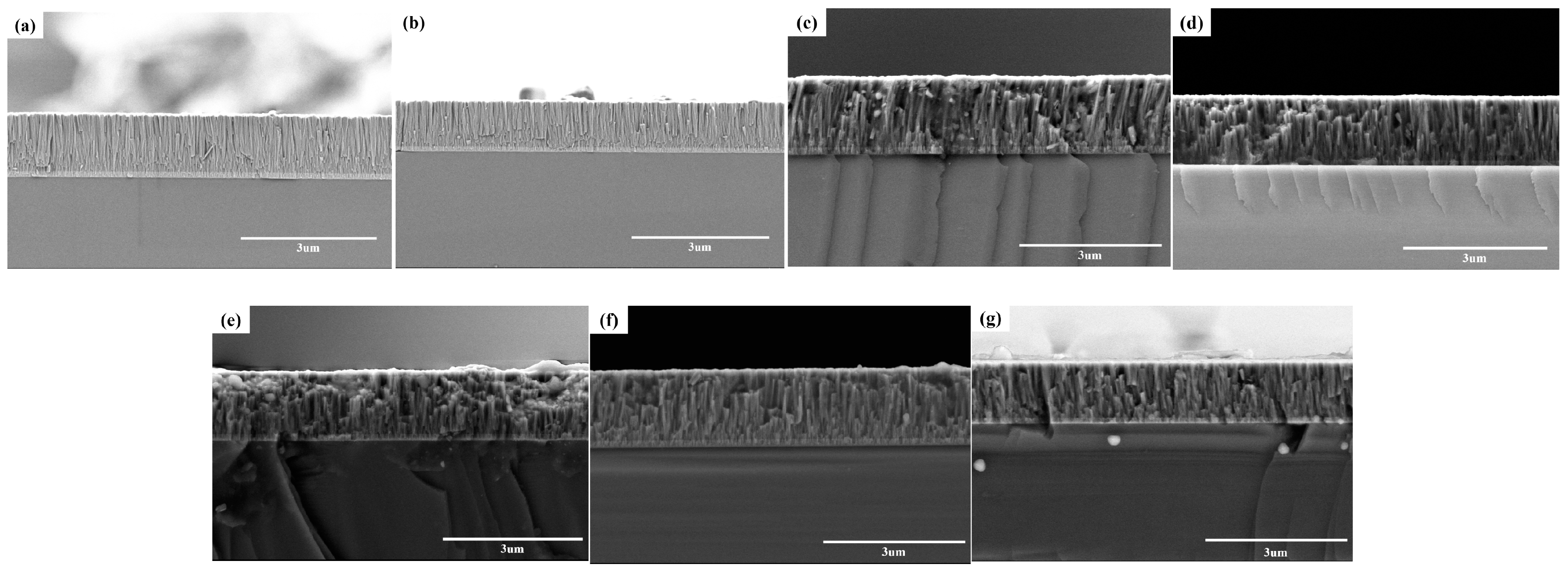 Lubricants 12 00295 g002