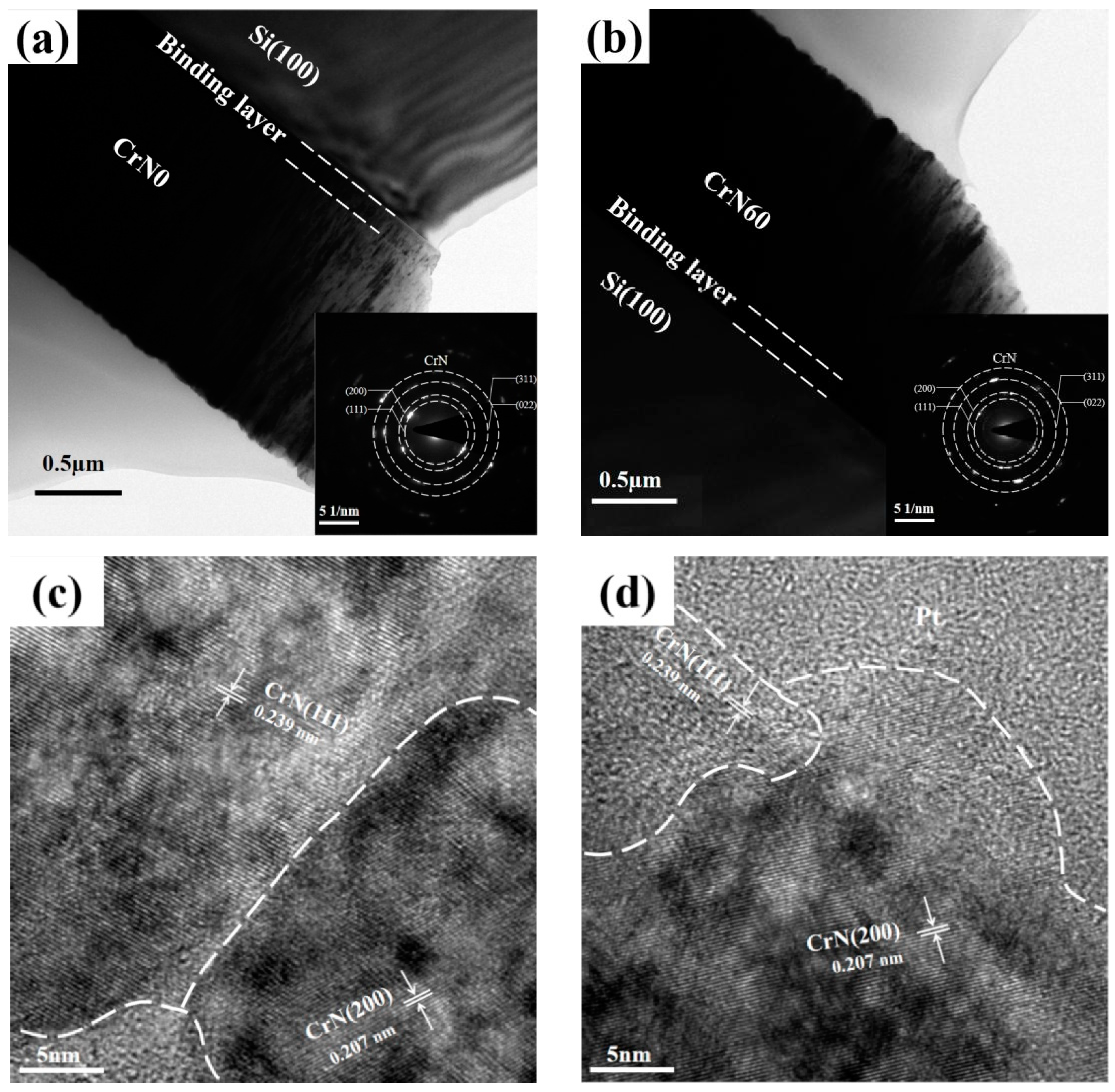 Lubricants 12 00295 g005
