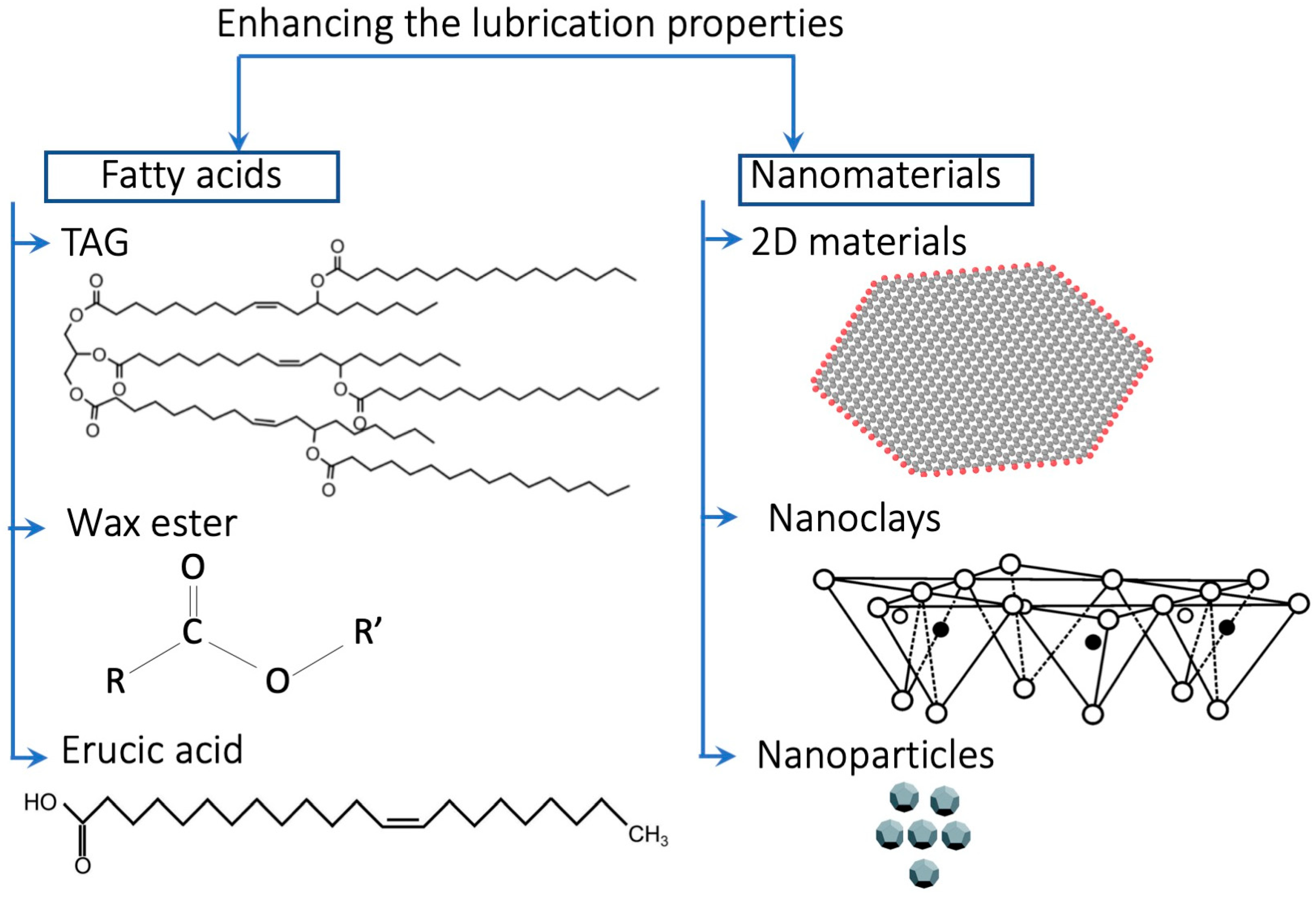 Lubricants 12 00300 g004