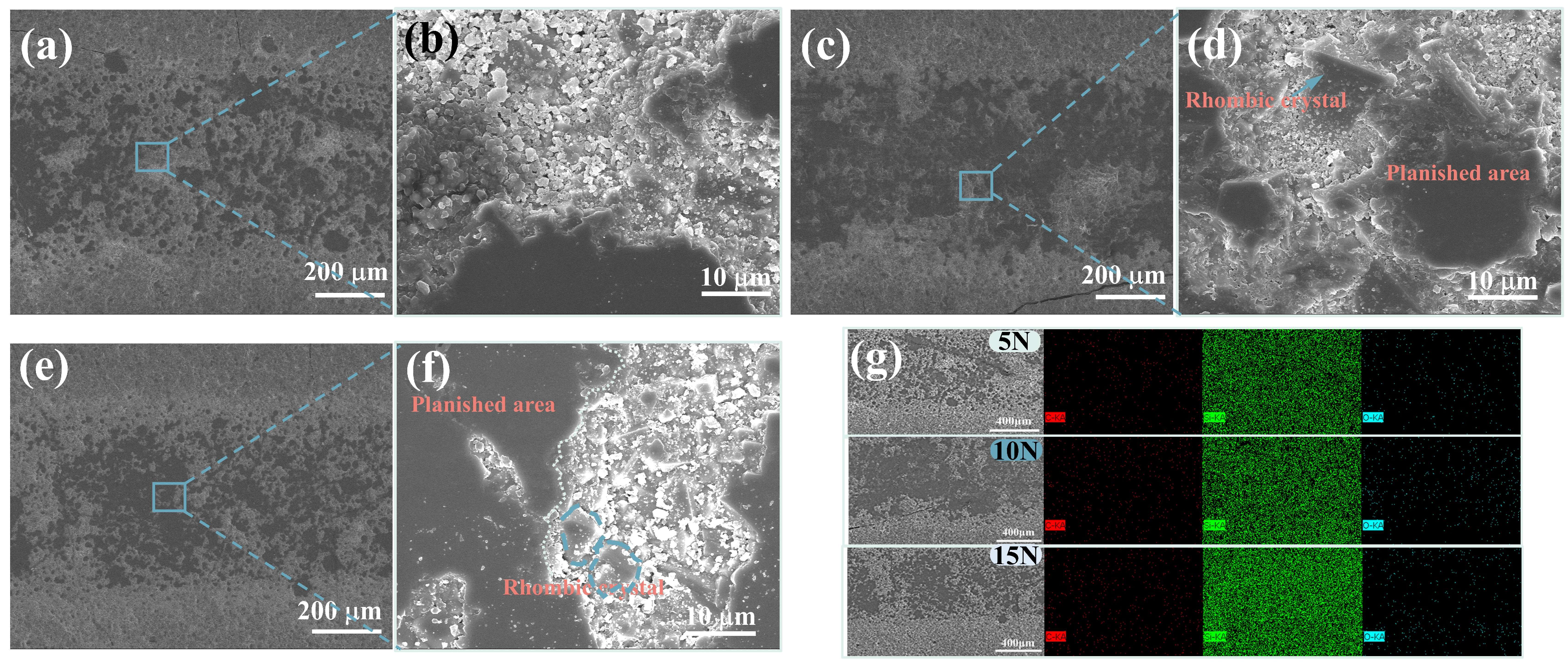 Lubricants 12 00301 g009