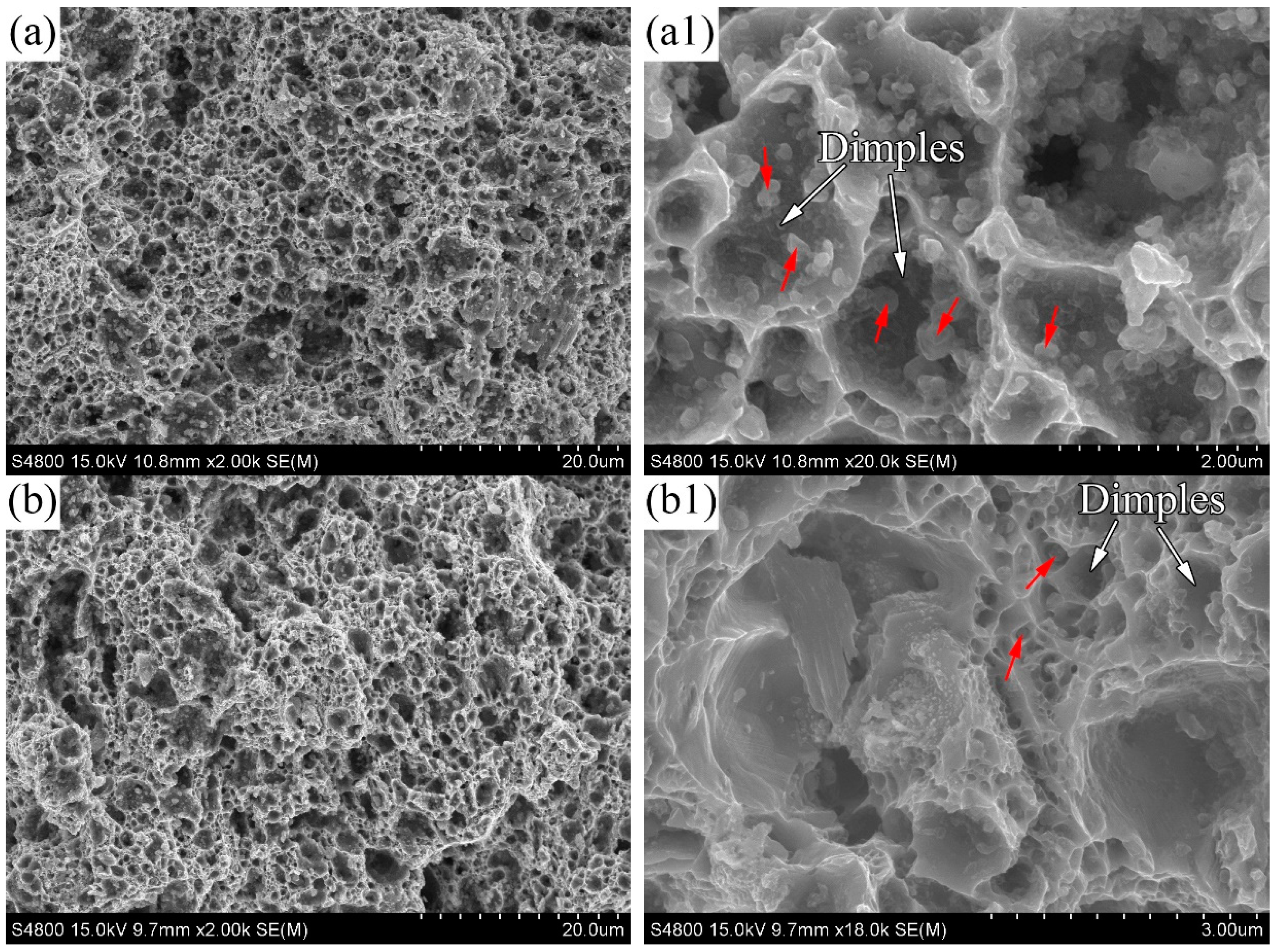 Lubricants 12 00306 g007a