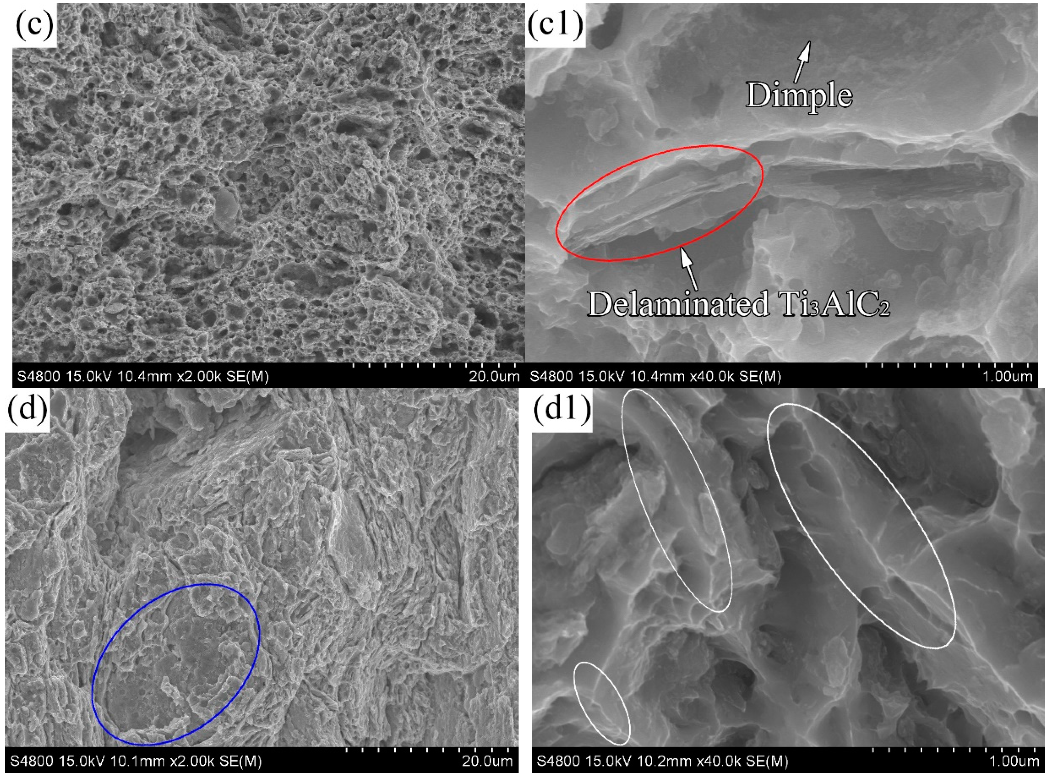 Lubricants 12 00306 g007b