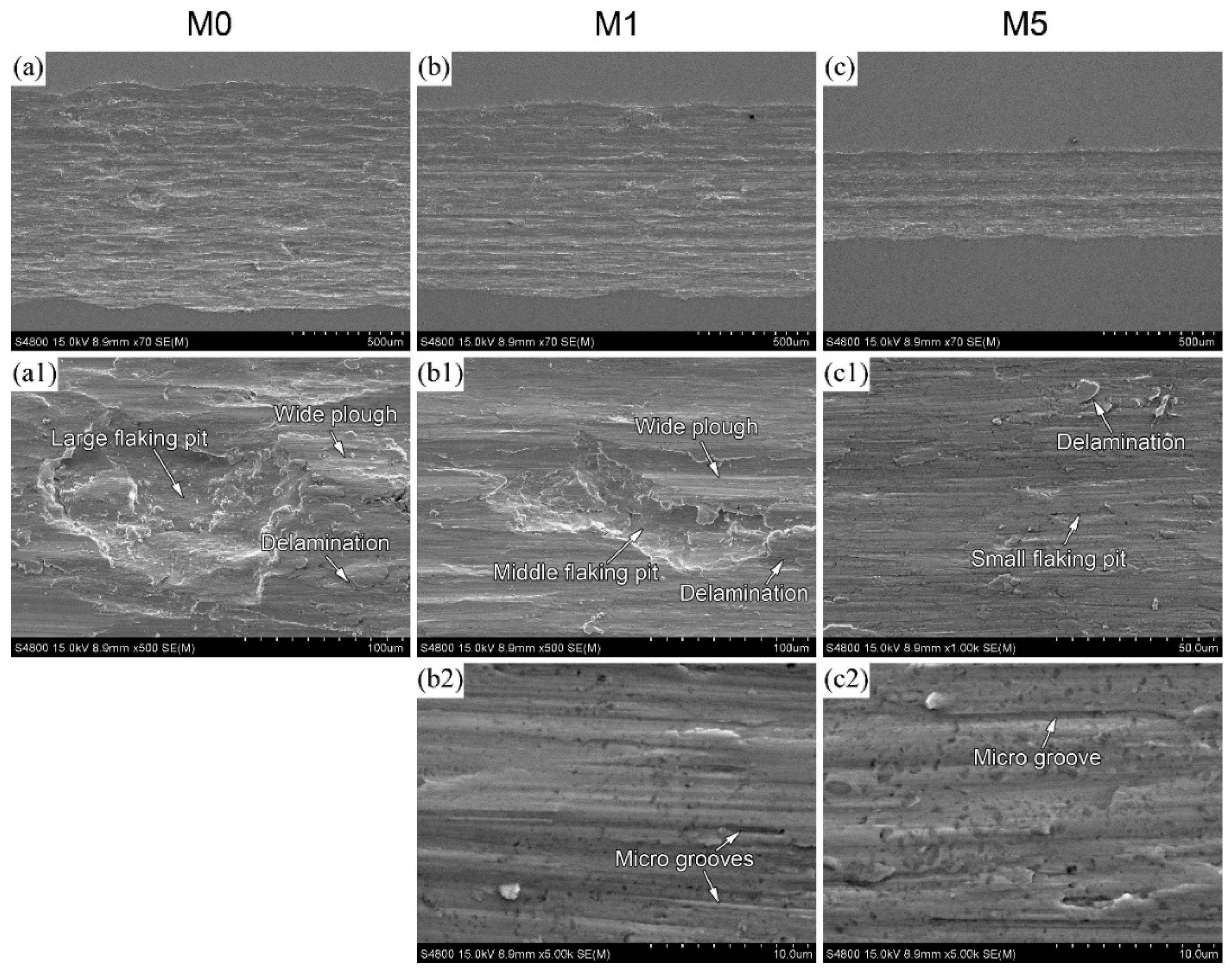 Lubricants 12 00306 g010