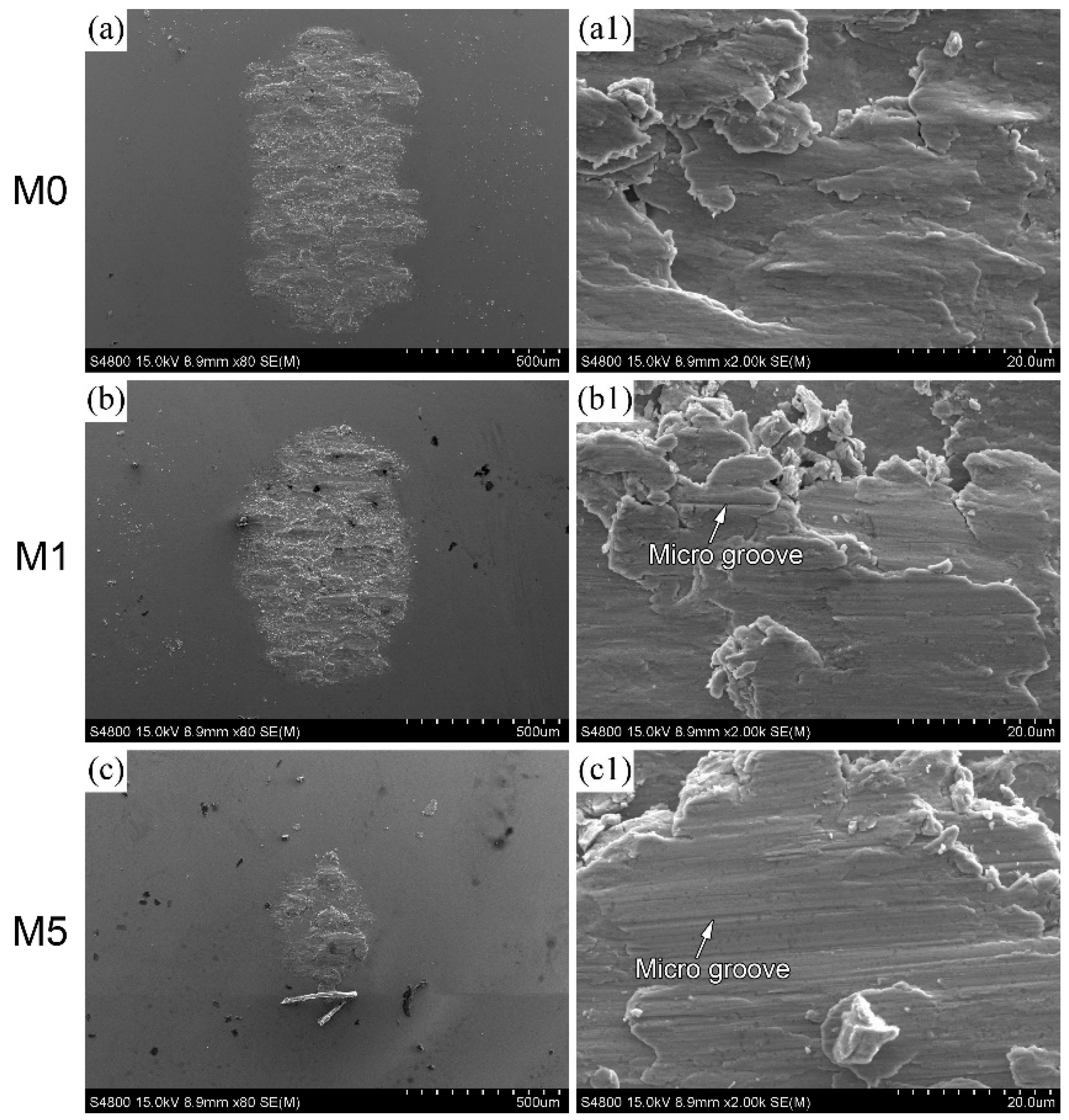 Lubricants 12 00306 g011