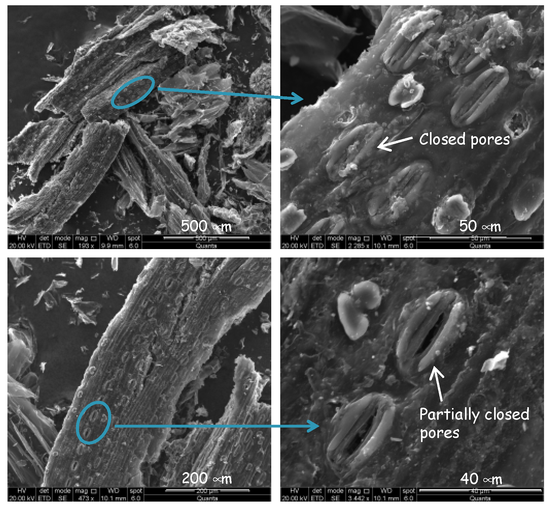 Lubricants 12 00308 g003