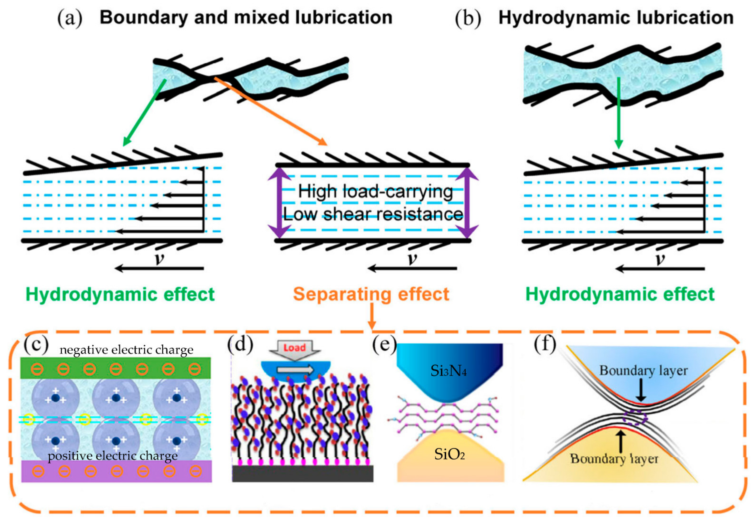 Lubricants 12 00312 g002