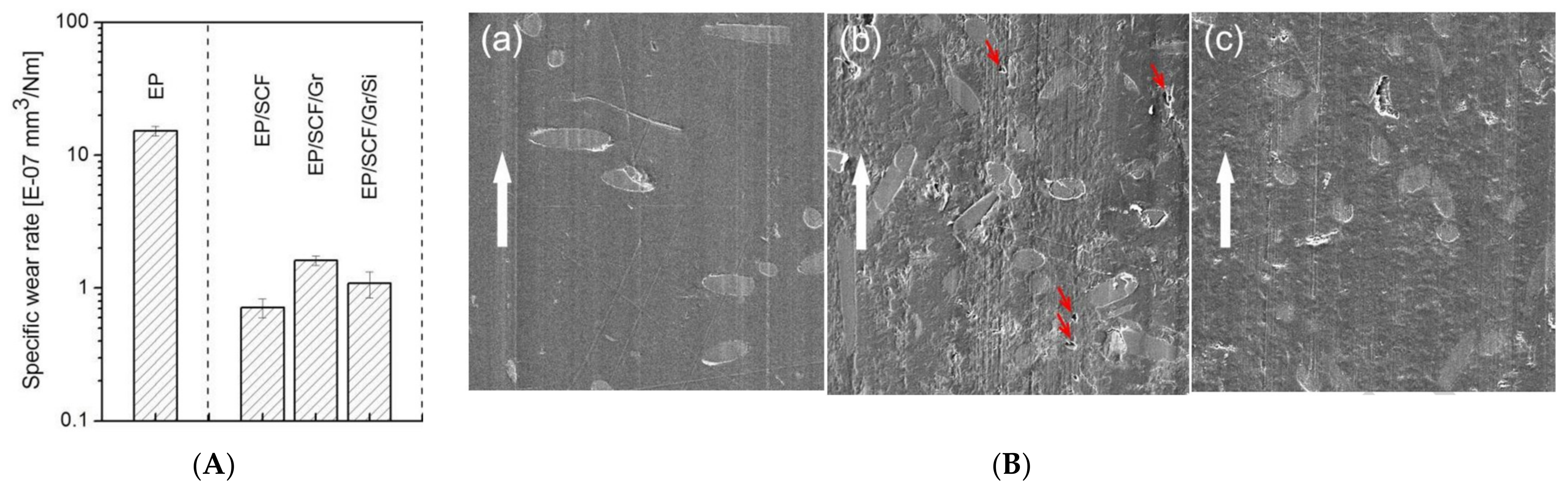 Lubricants 12 00312 g005